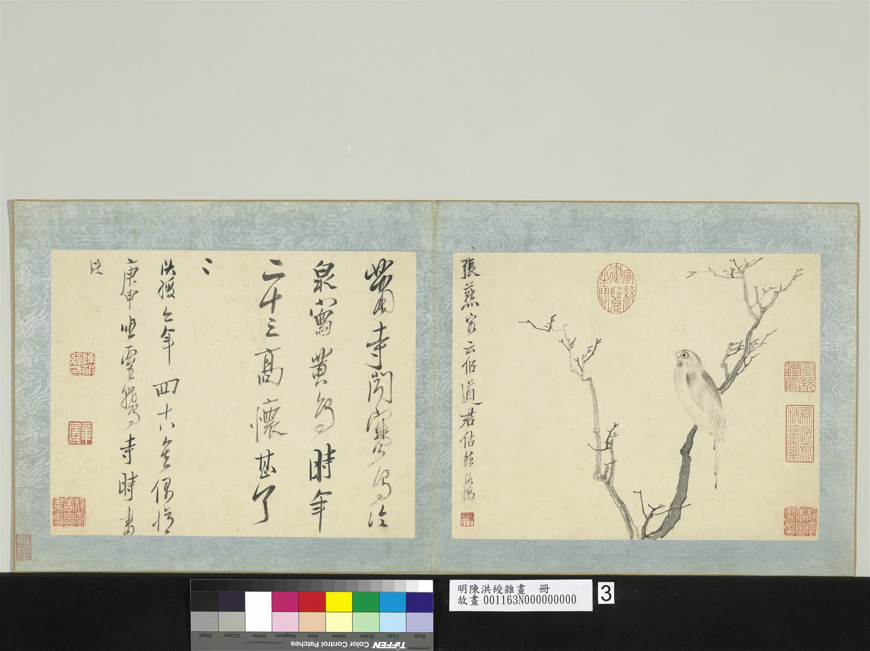 明朝【陈洪绶】《杂画册-枯枝黄鸟》