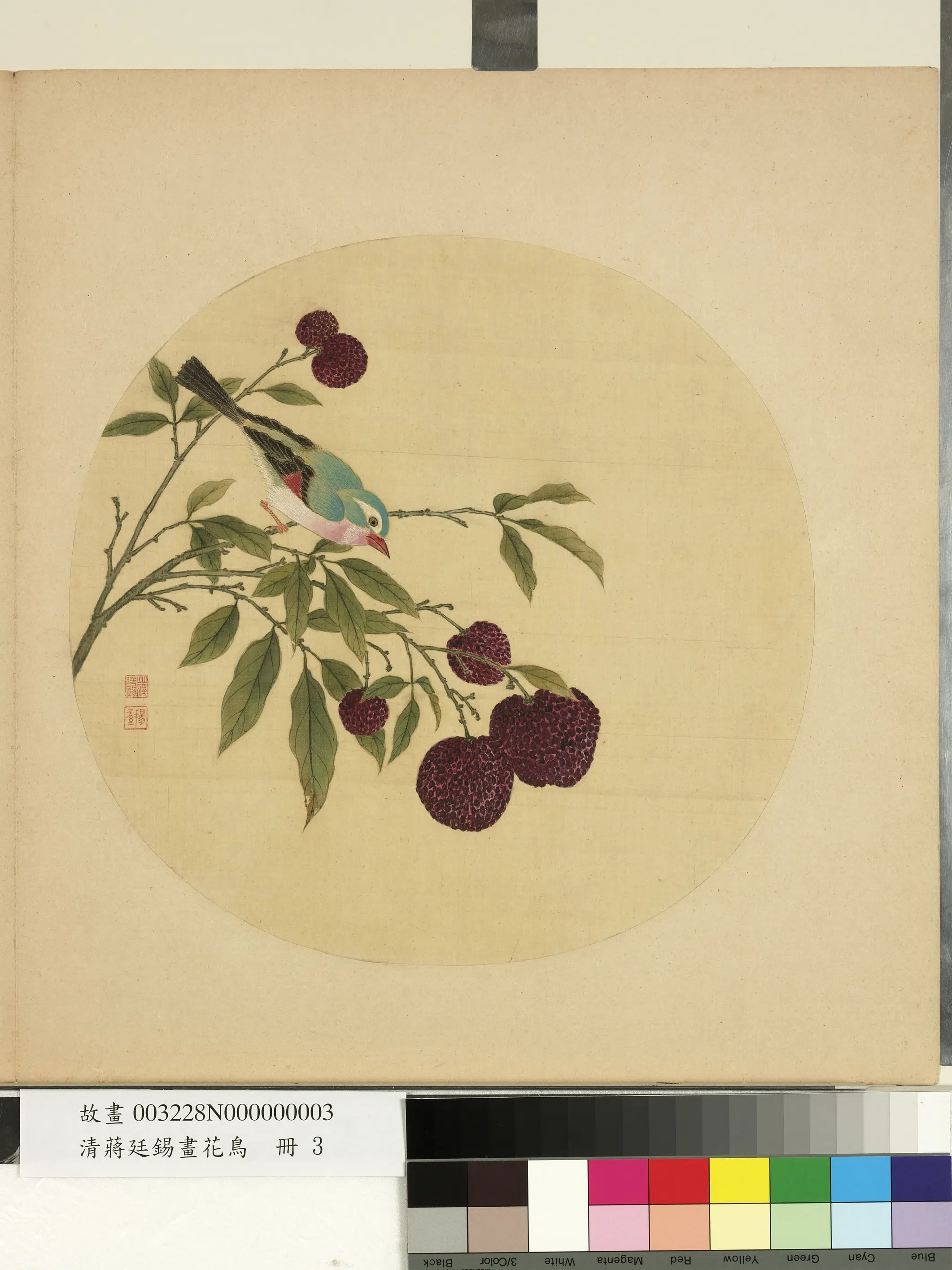 清代【蒋廷锡】《画花鸟册-荔枝》