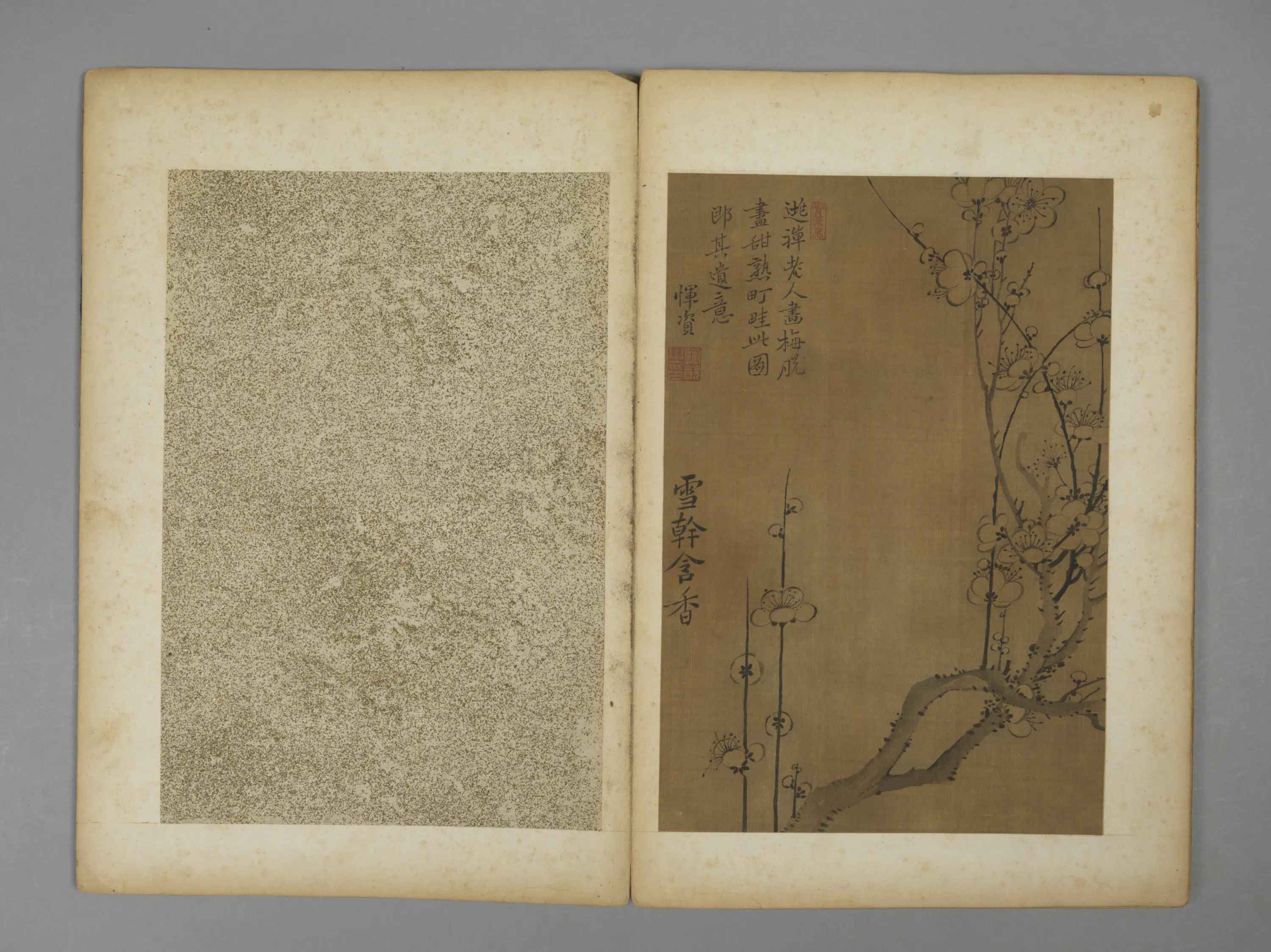 清代【恽资】《花卉册》 第7张