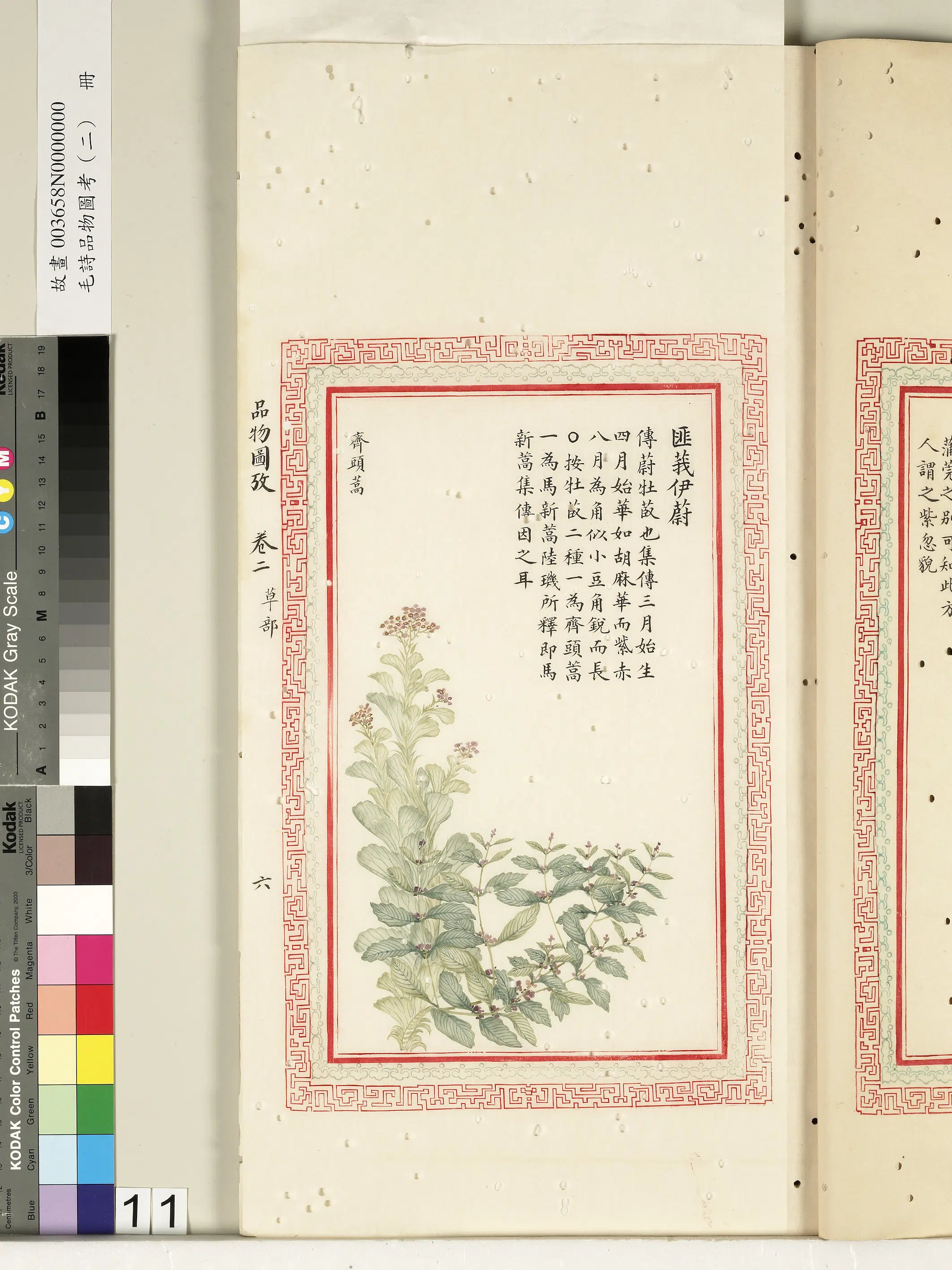 清代《毛诗品物图考（二）册-2》 第11张