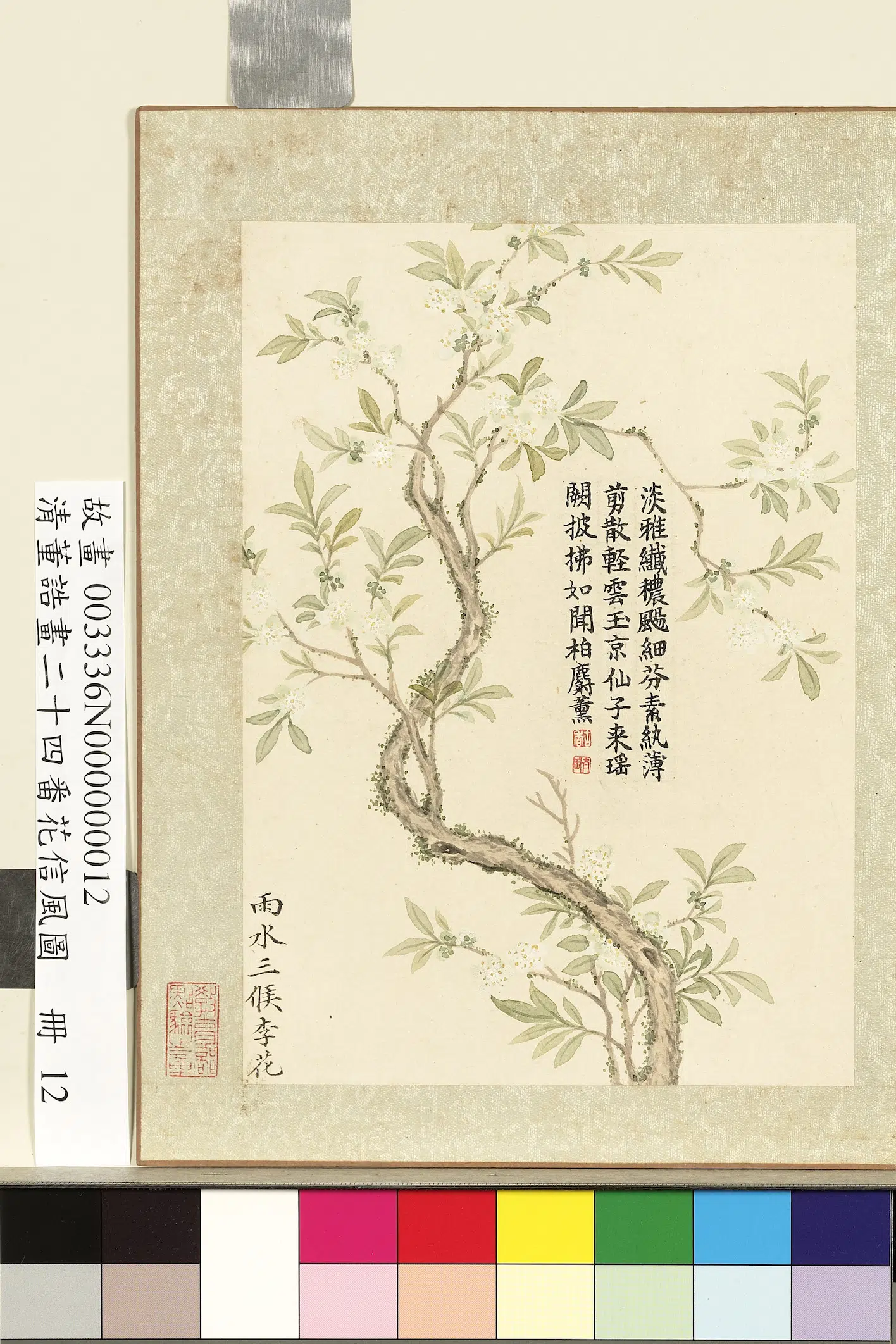 清代【董诰】《画二十四番花信风图册-雨水三候李花》 第1张