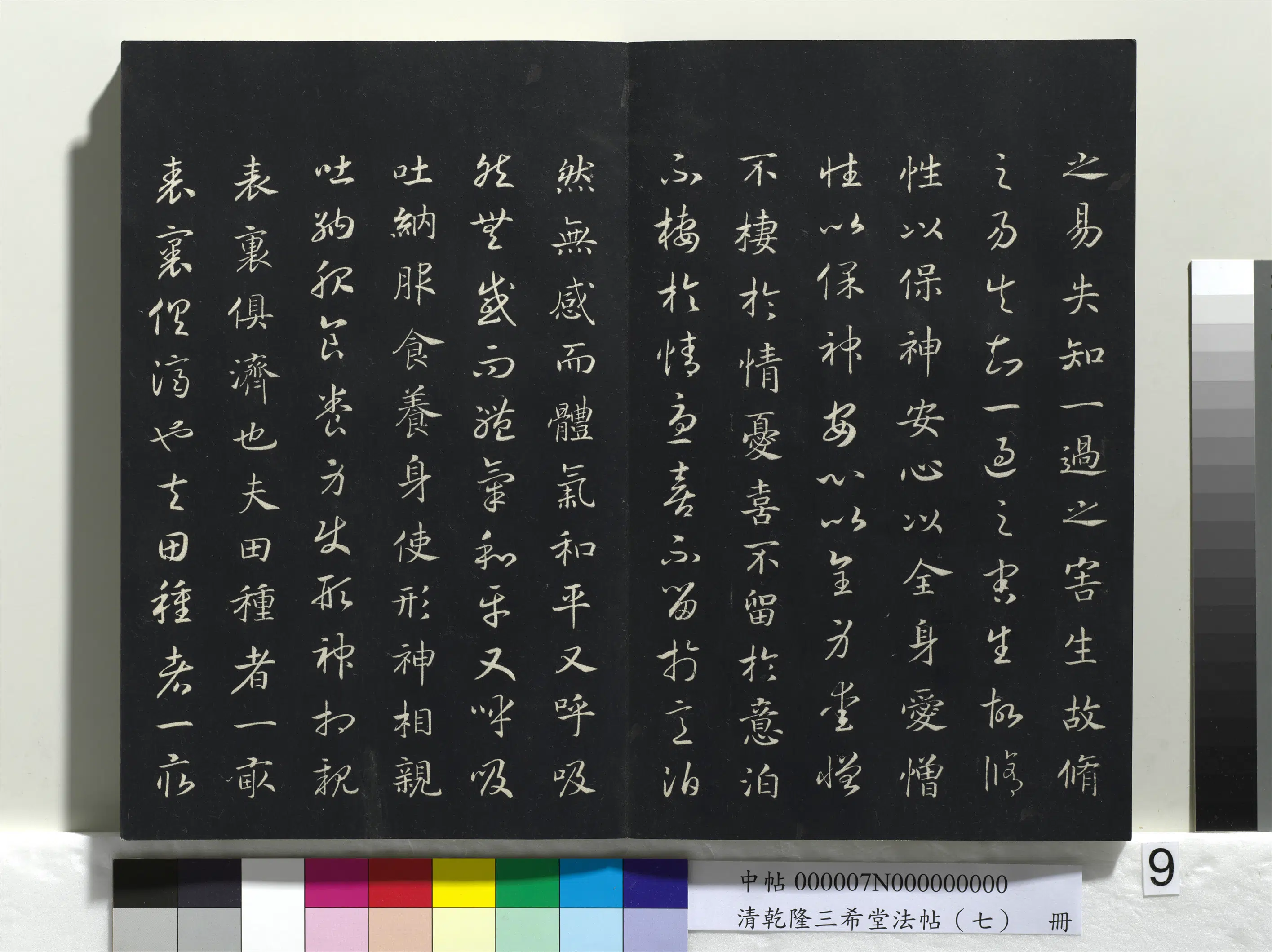 清代【爱新觉罗弘历-乾隆-清高宗】《乾隆三希堂法帖（七）册》 第31张