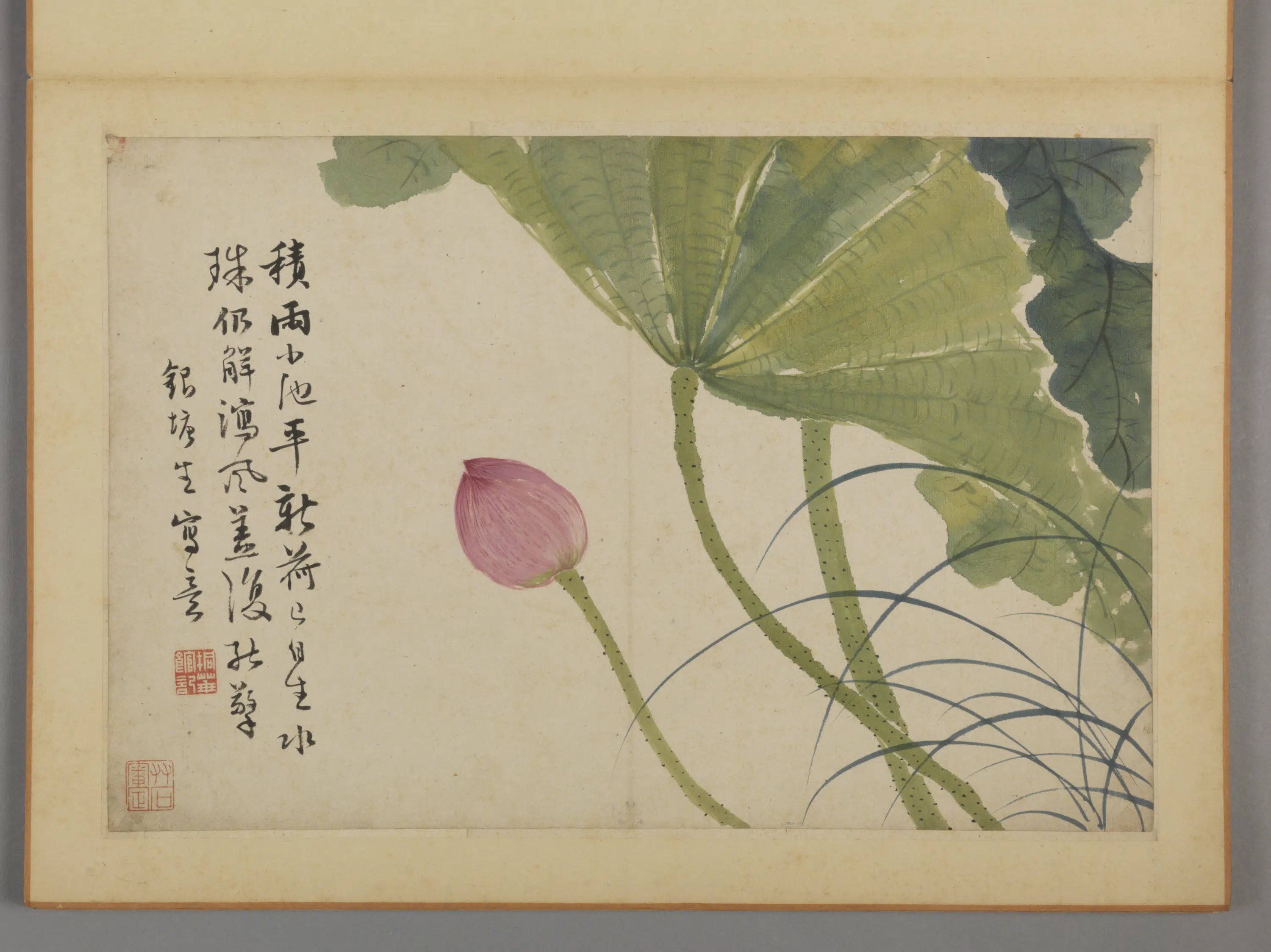 清代【蔡嘉】《花卉图册（12开）》 第10张