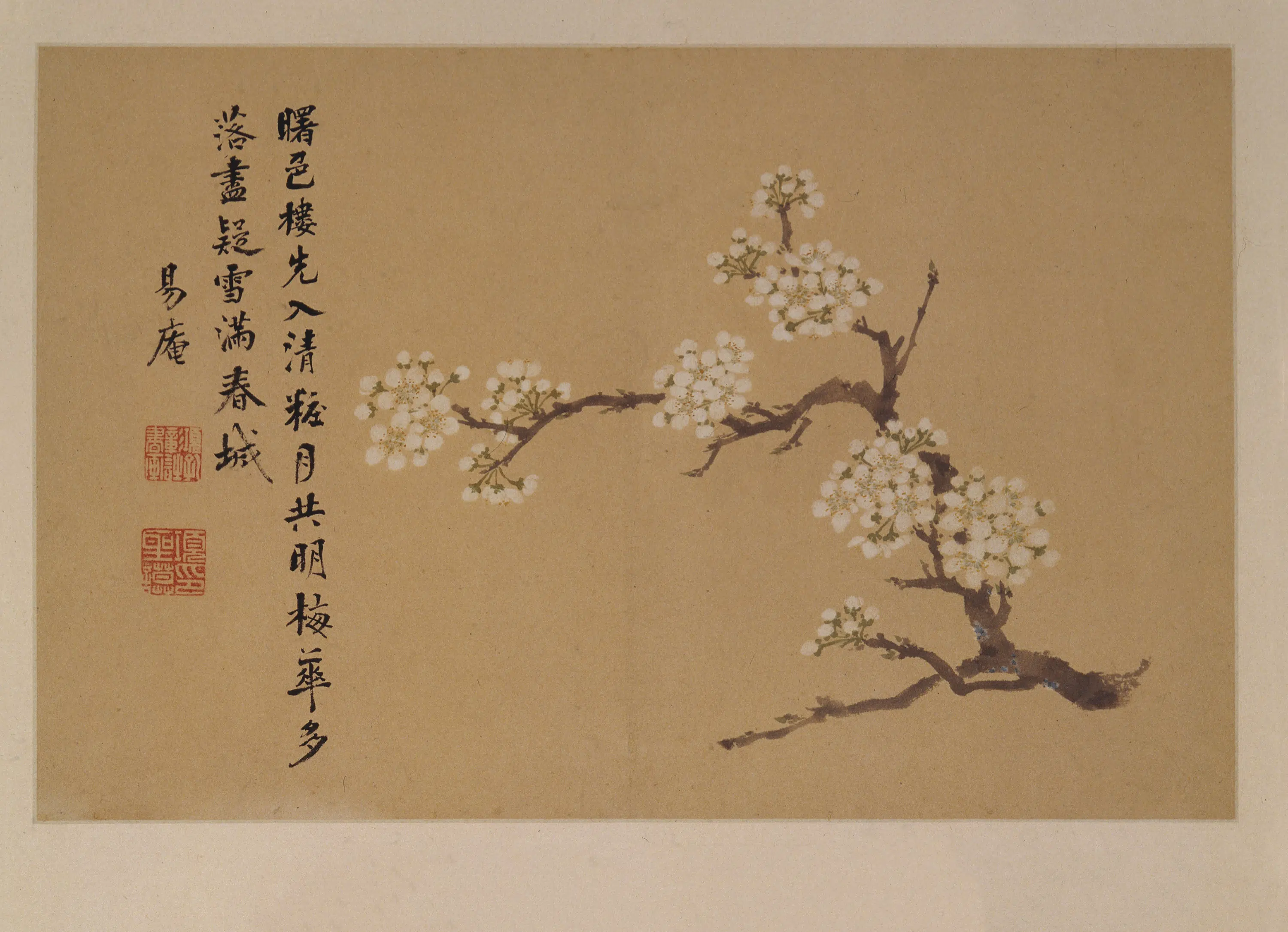 明朝【项圣谟】《花卉册》