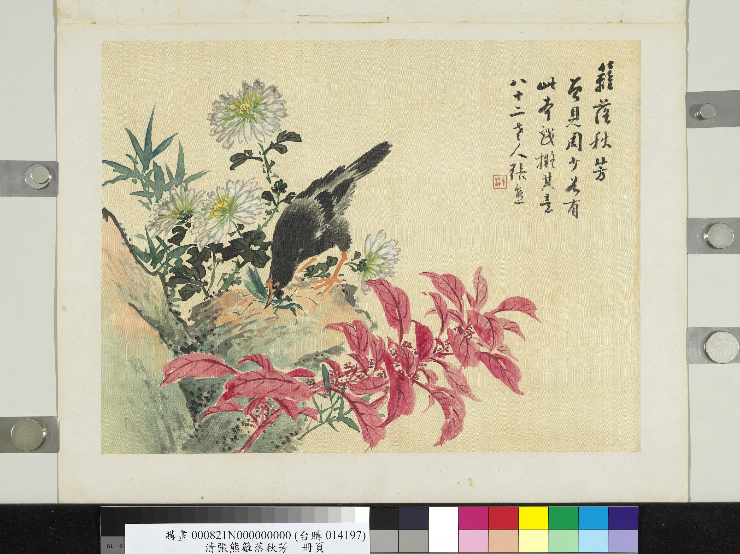 清代【张熊】《篱落秋芳册页》