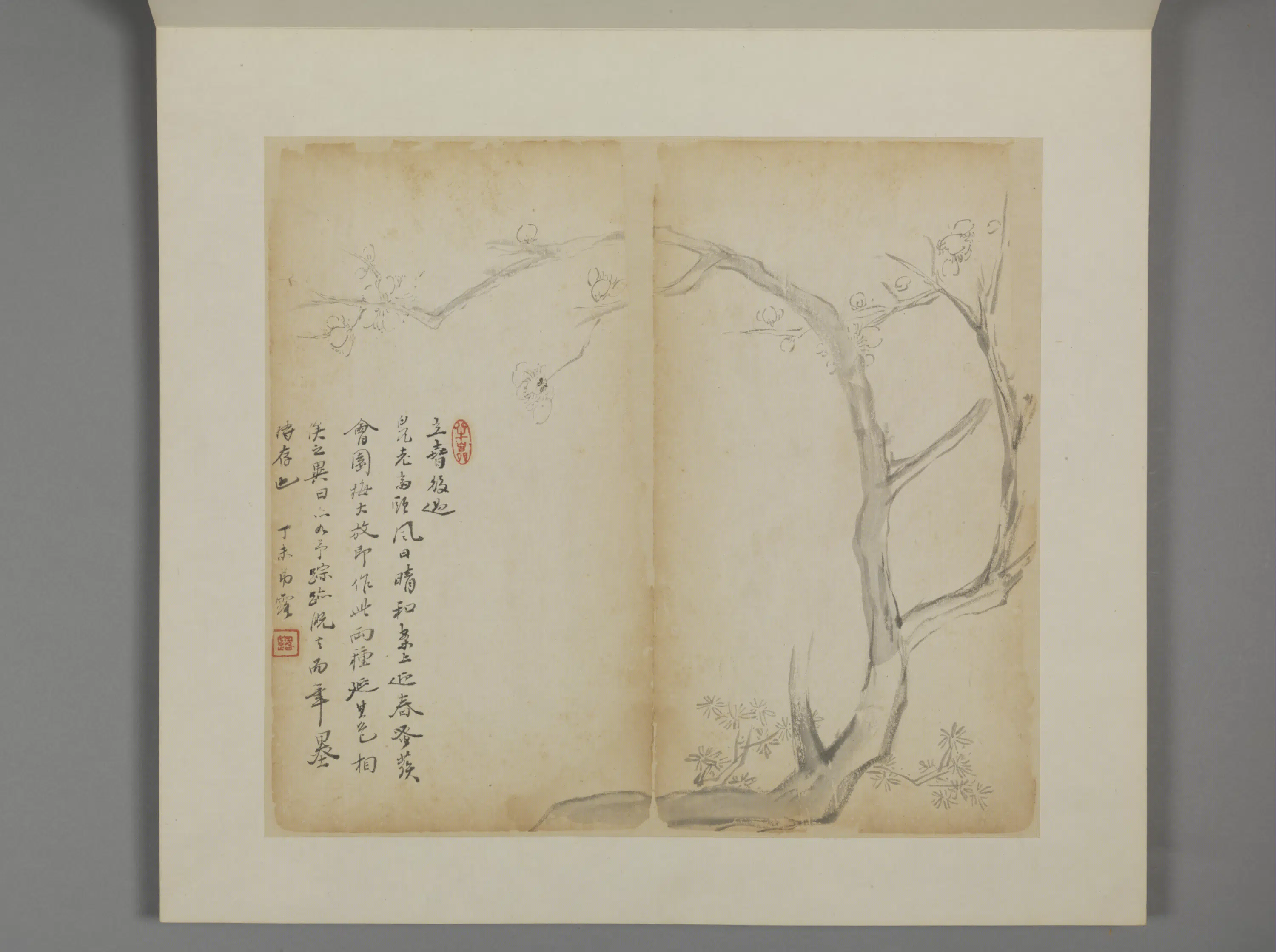 清代【王露】《花卉册》 第5张 清代【王露】《花卉册》 第5张
