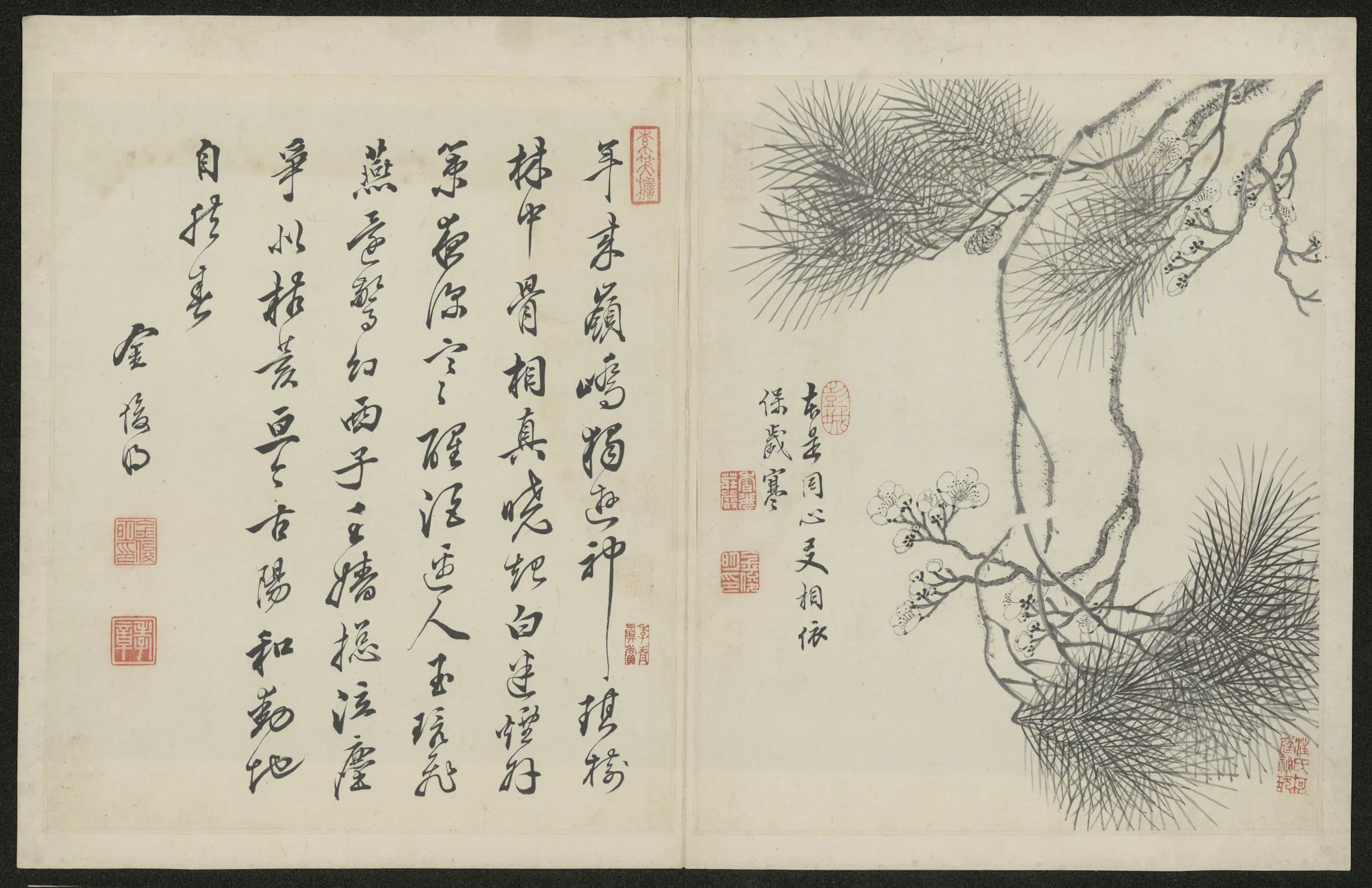 清代【金俊明】《梅花图册-2》 第5张 清代【金俊明】《梅花图册-2》 第5张