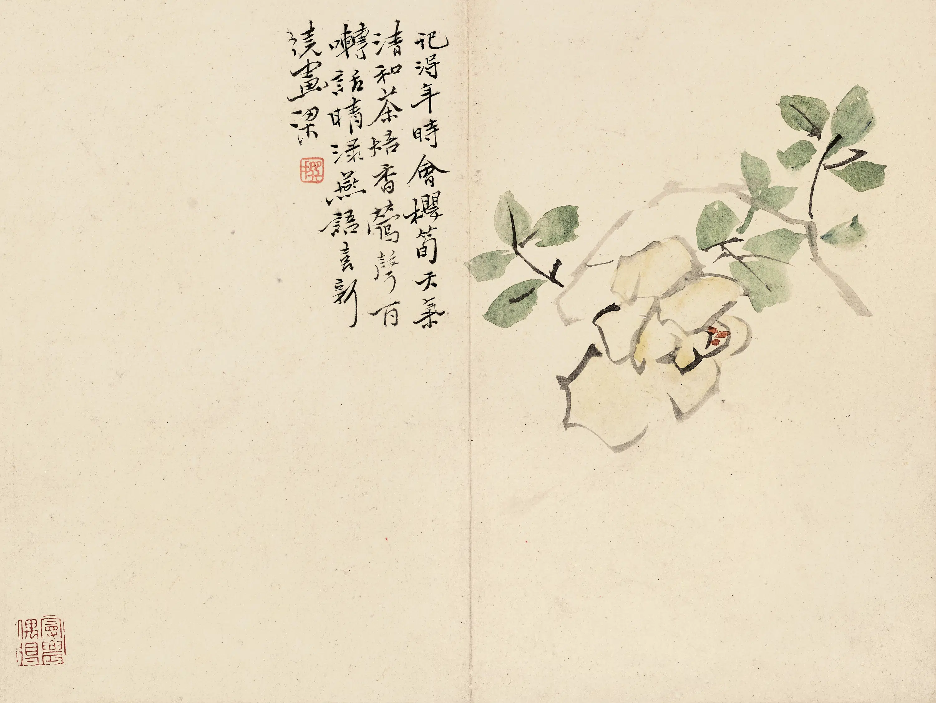 清代【陈撰】《花卉图册-3》 第7张
