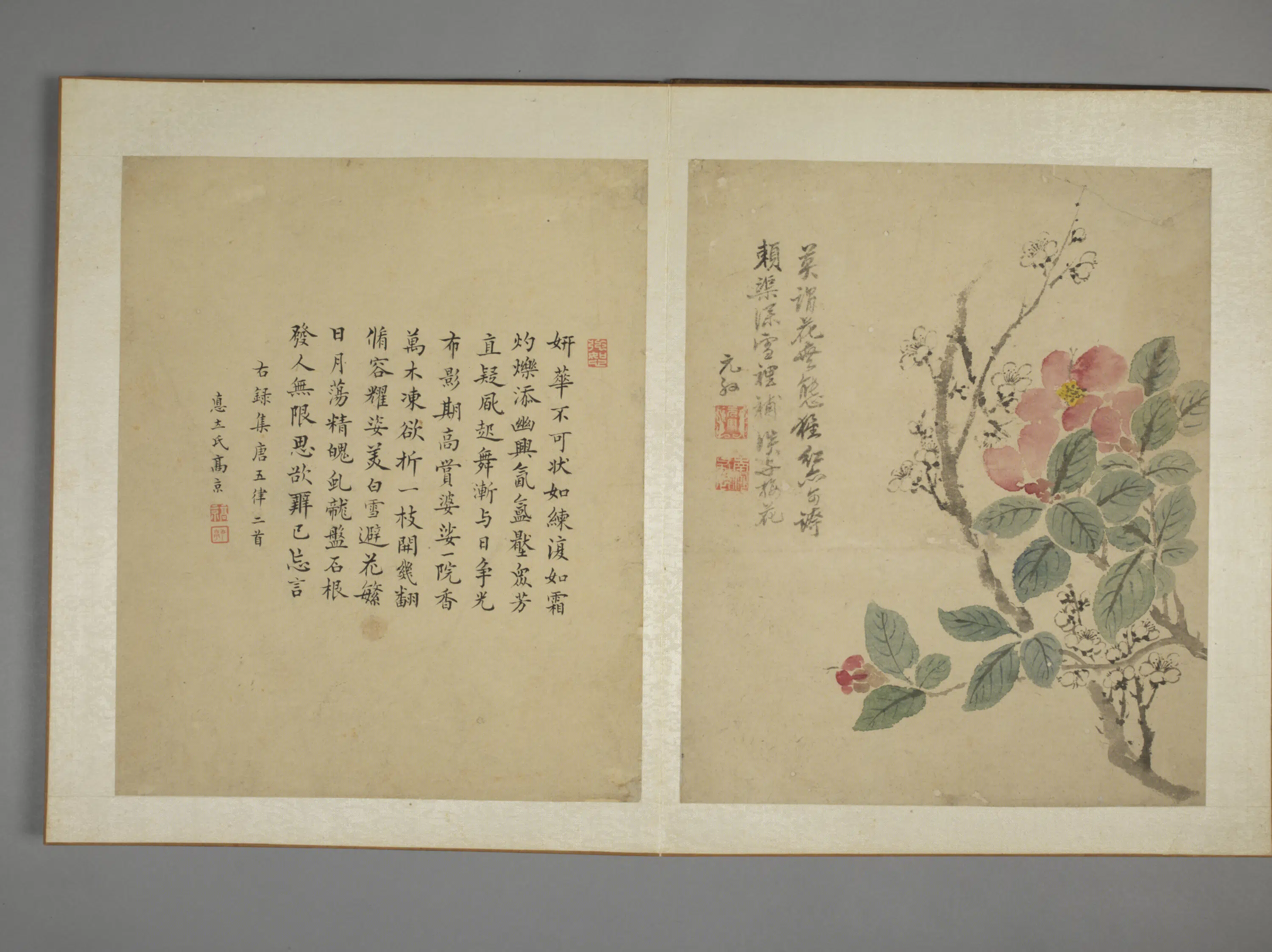 清代【马元驭】《花鸟图册》 第5张