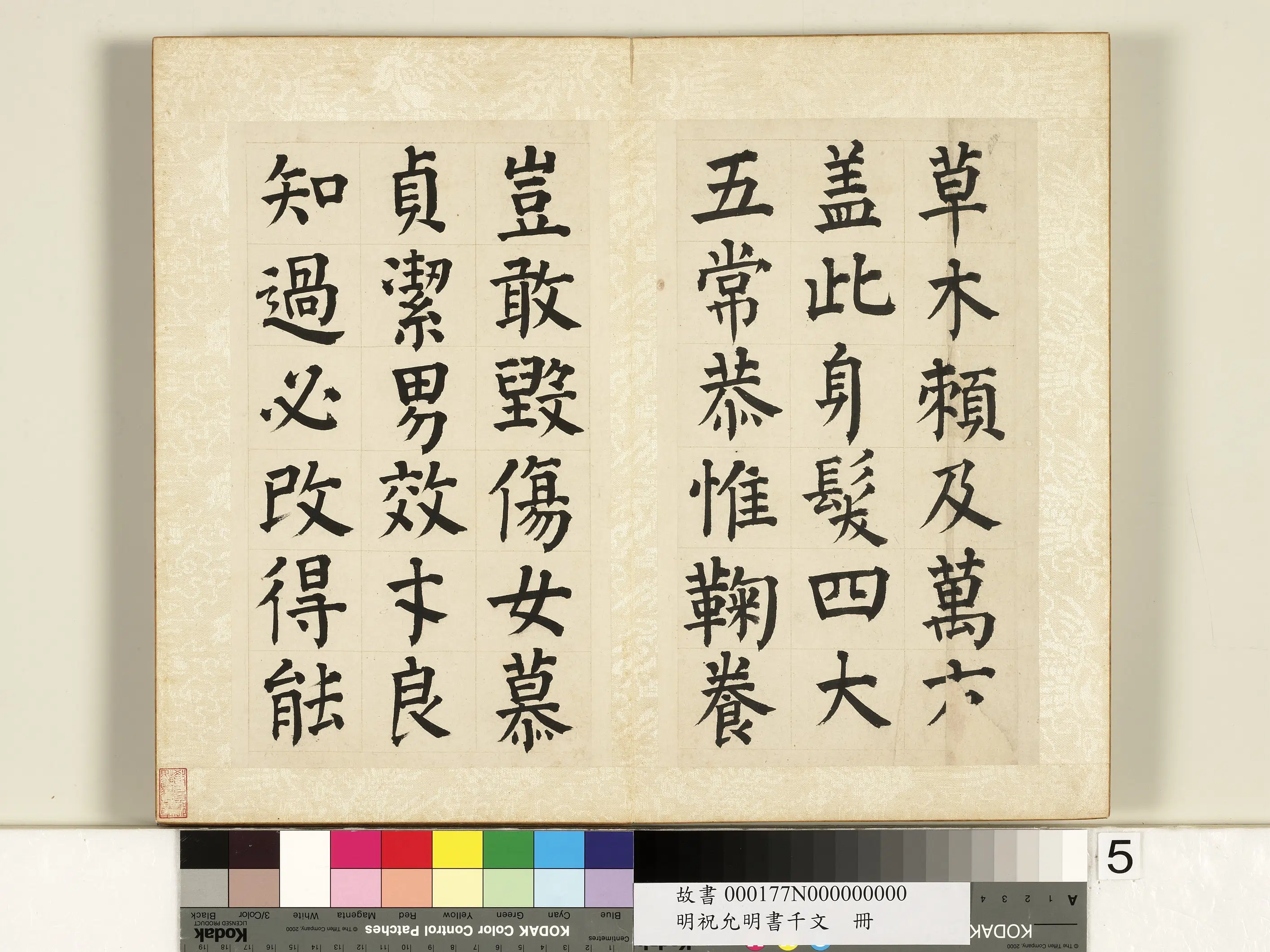 明朝【祝允明】《书千字文册》 第29张