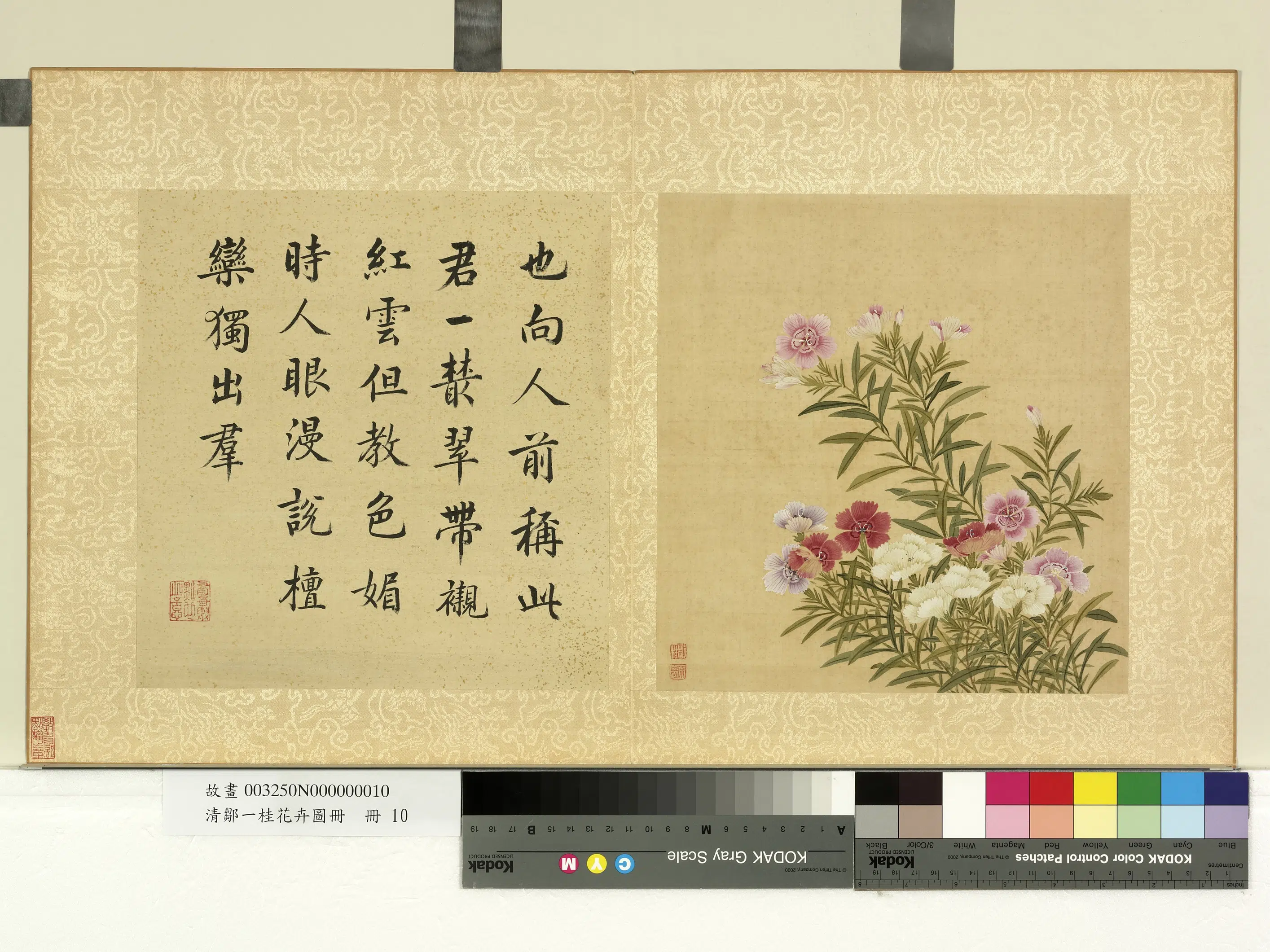 清代【邹一桂】《花卉画册》 第6张 清代【邹一桂】《花卉画册》 第6张