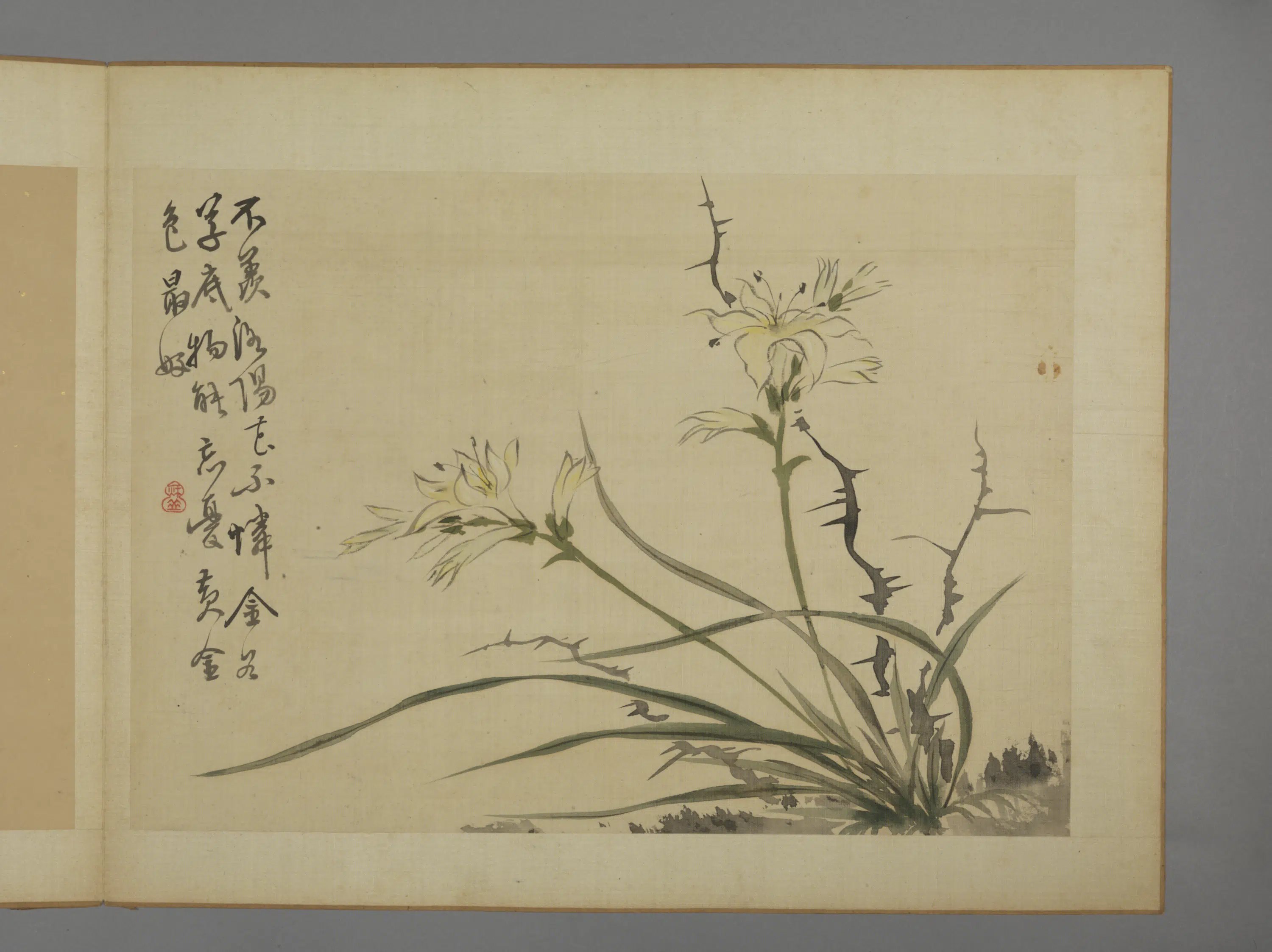 清代【华喦】《花卉图册（11开）》 第11张