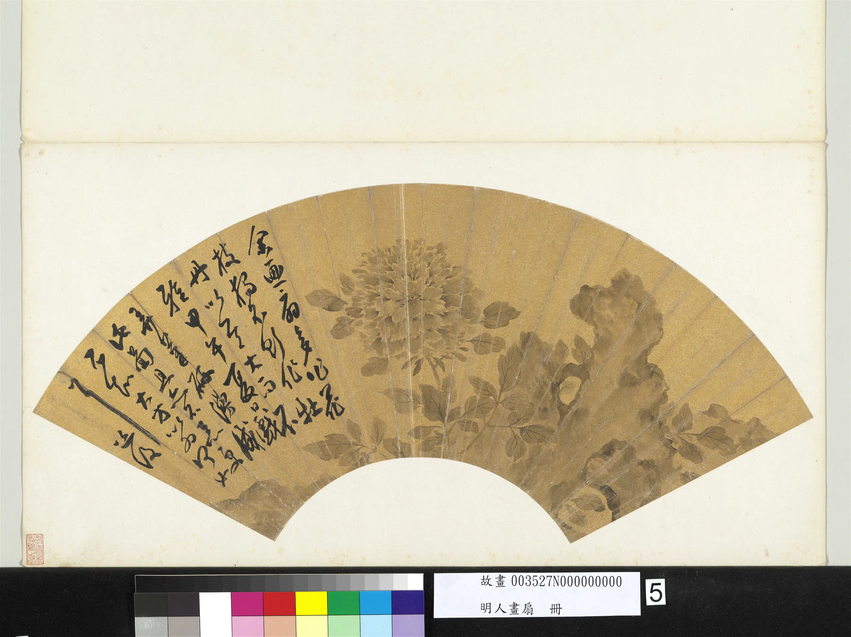 明朝【陈淳（道复）】《明人画扇册-牡丹》