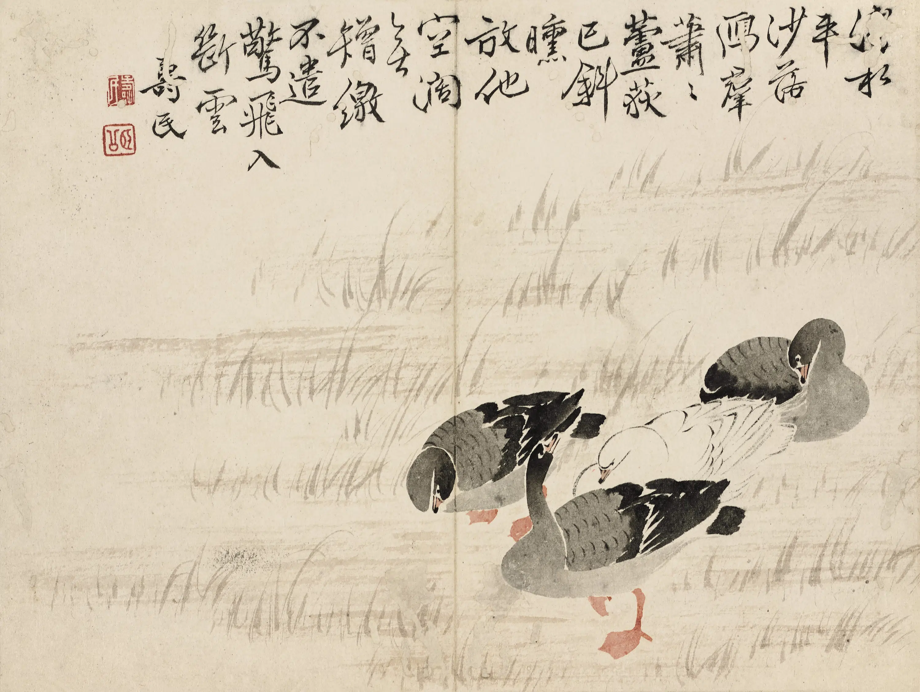 清代【边寿民】《莲州集影图册》 第3张