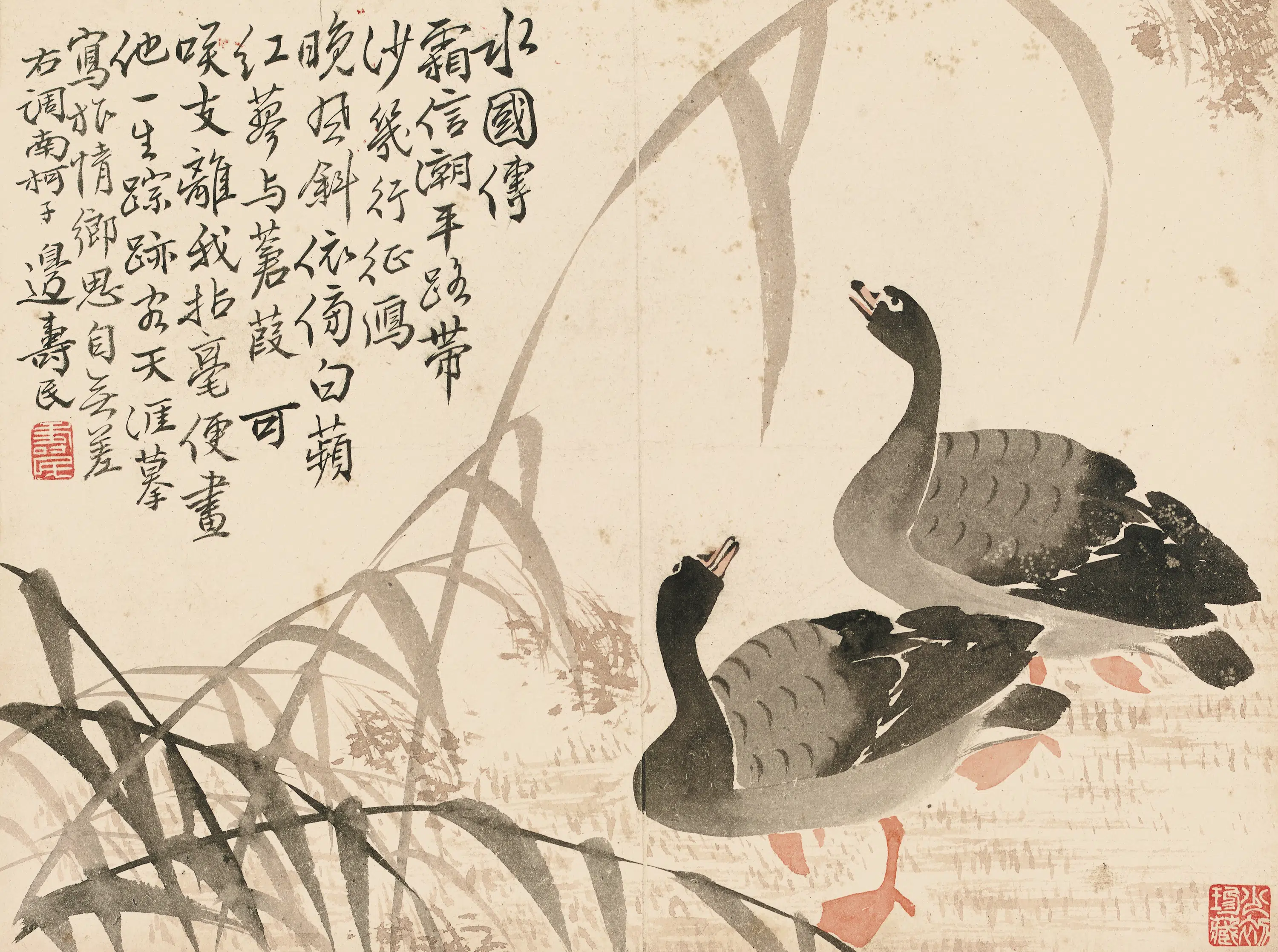 清代【边寿民】《合影芦雁图册》 第5张
