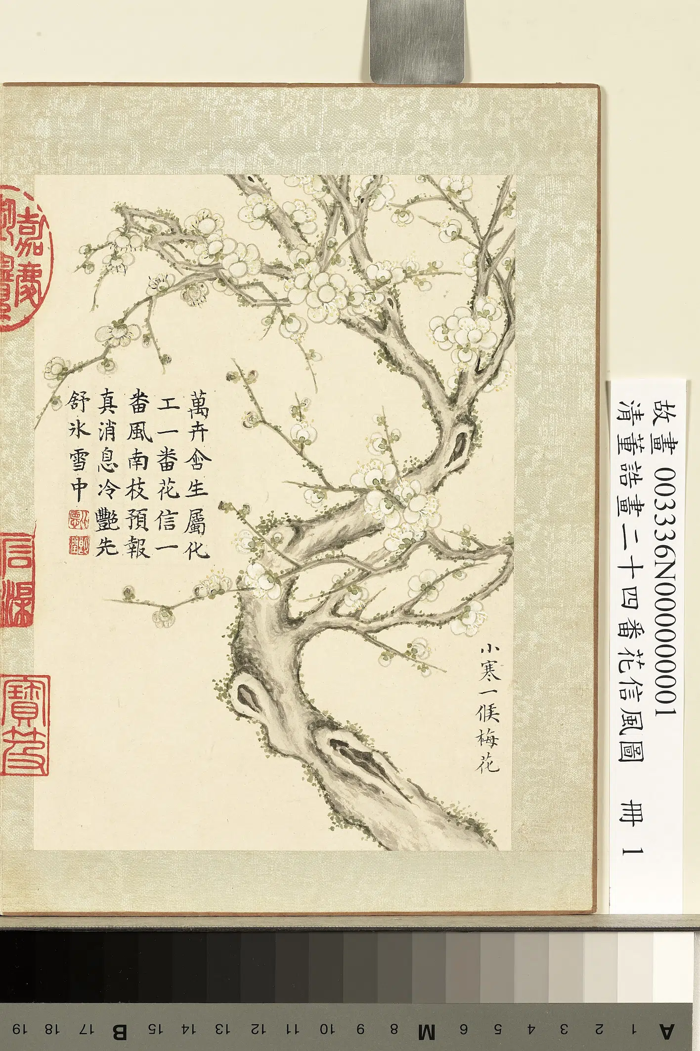 清代【董诰】《画二十四番花信风图册-小寒一候梅花》