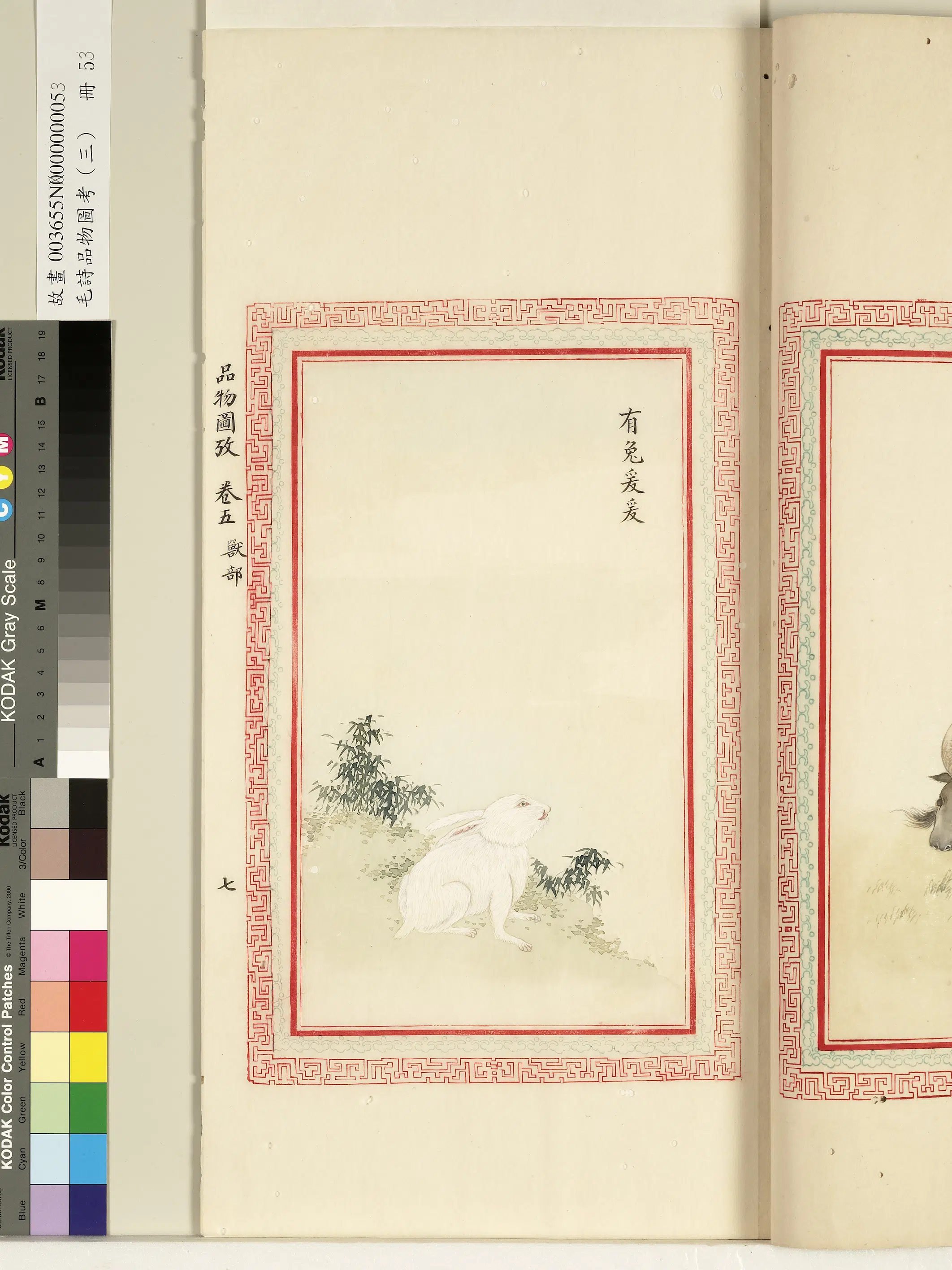 清朝【佚名】《毛诗品物图考（三）册-有兔爰爰-1》