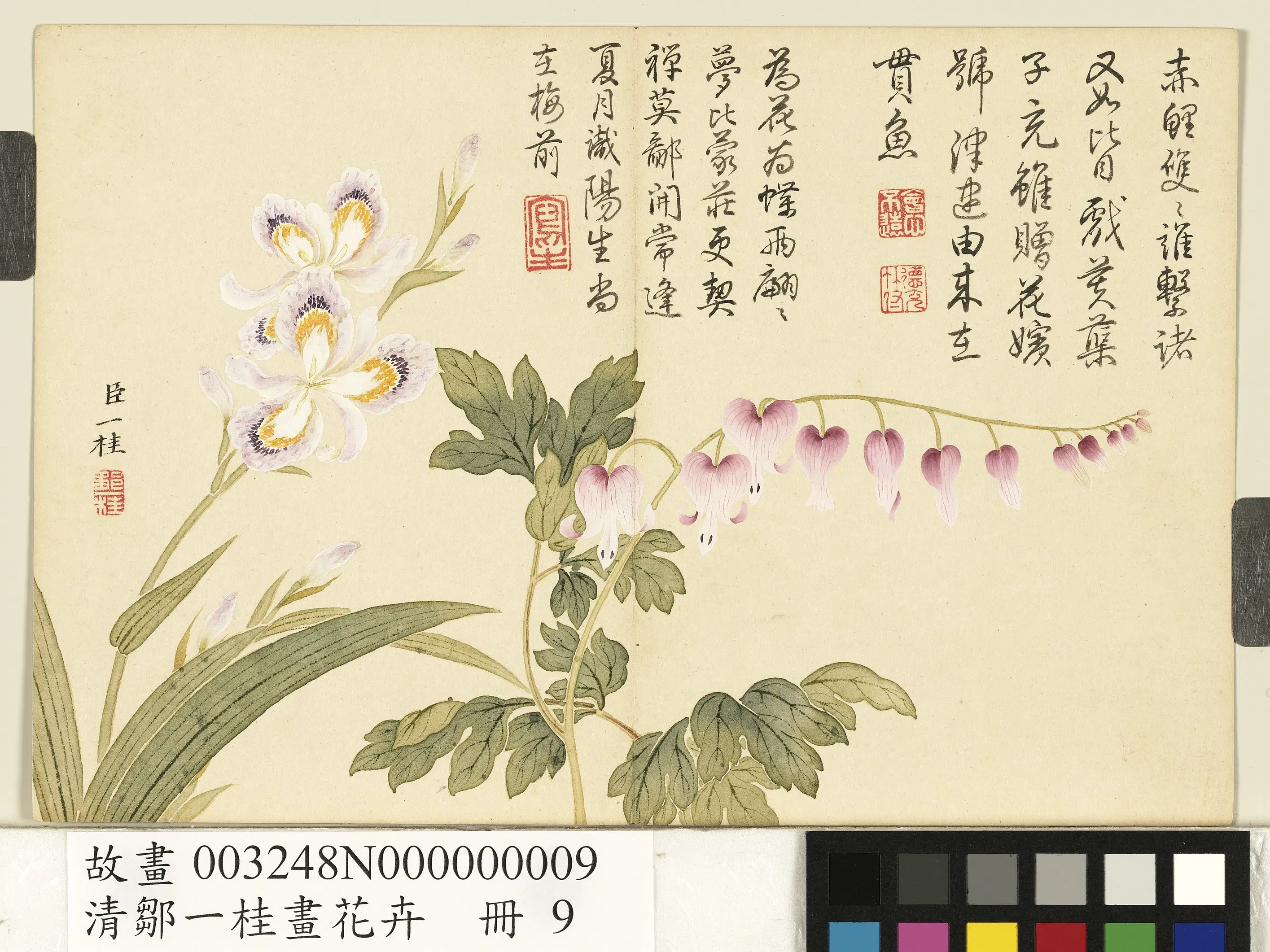 清代【邹一桂】《画花卉册-蝴蝶花鱼儿牡丹》