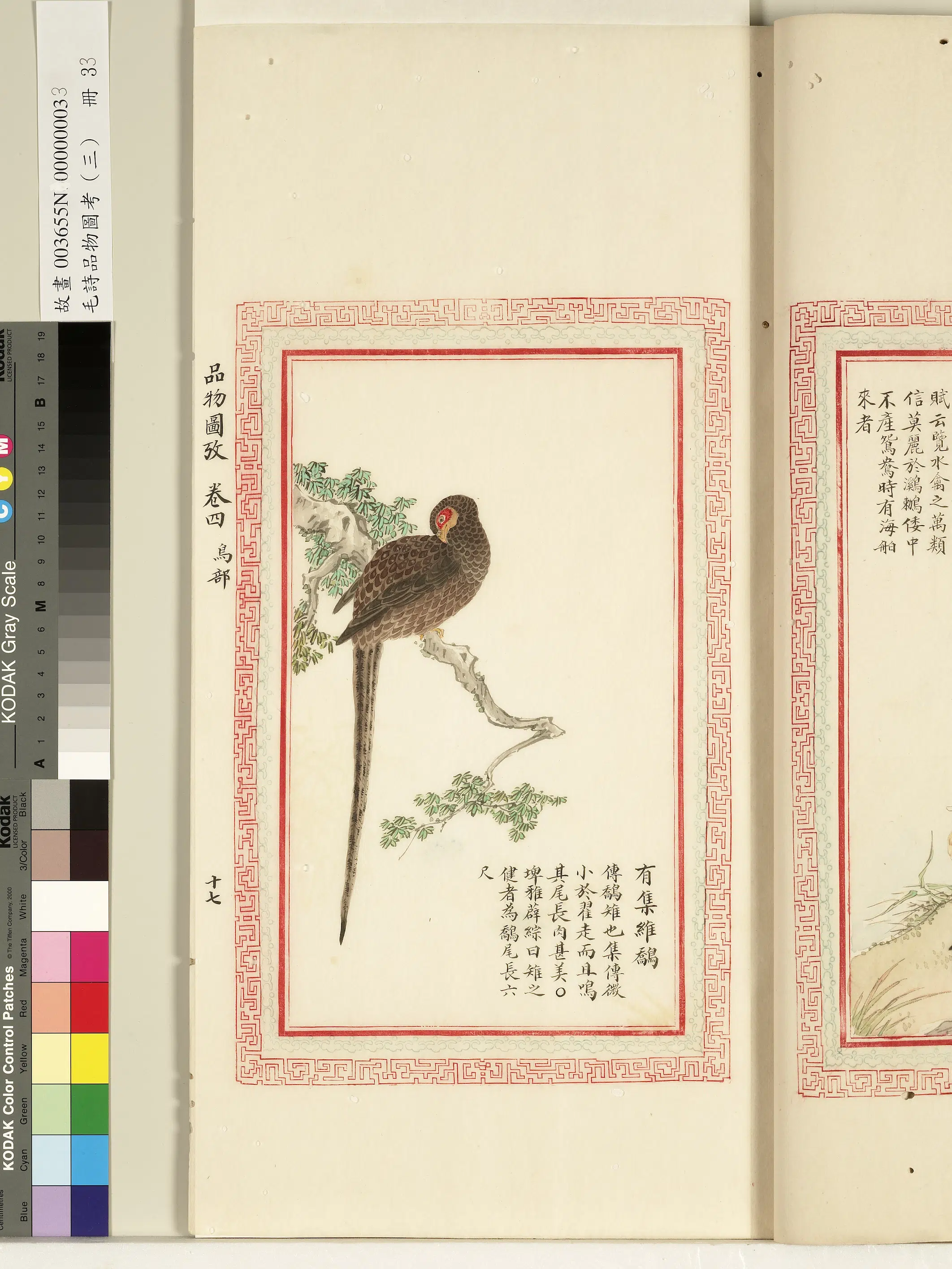 清代《毛诗品物图考(三)册-1》 第26张 清代《毛诗品物图考(三)册-1》 第26张