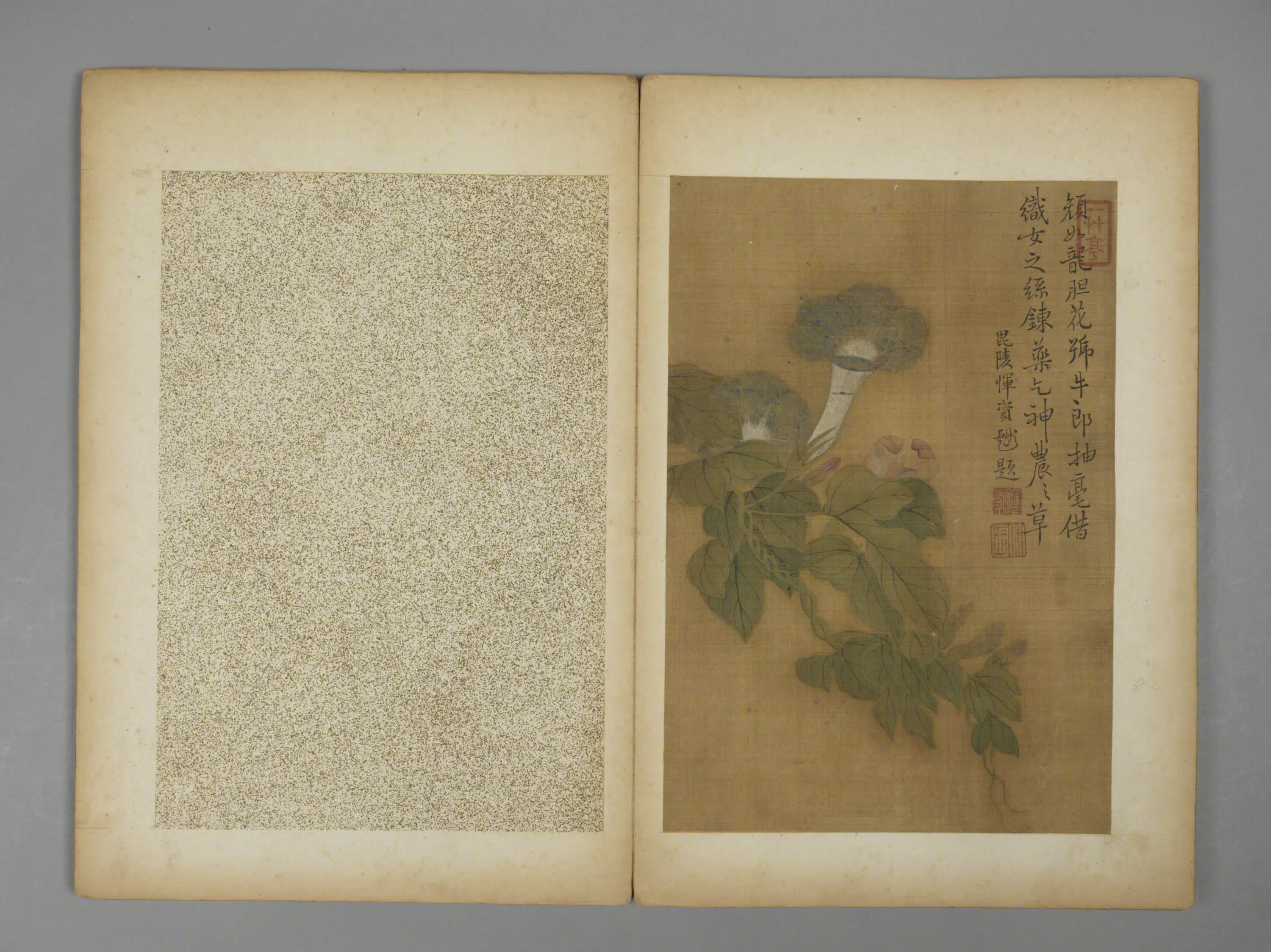清代【恽资】《花卉册》 第1张