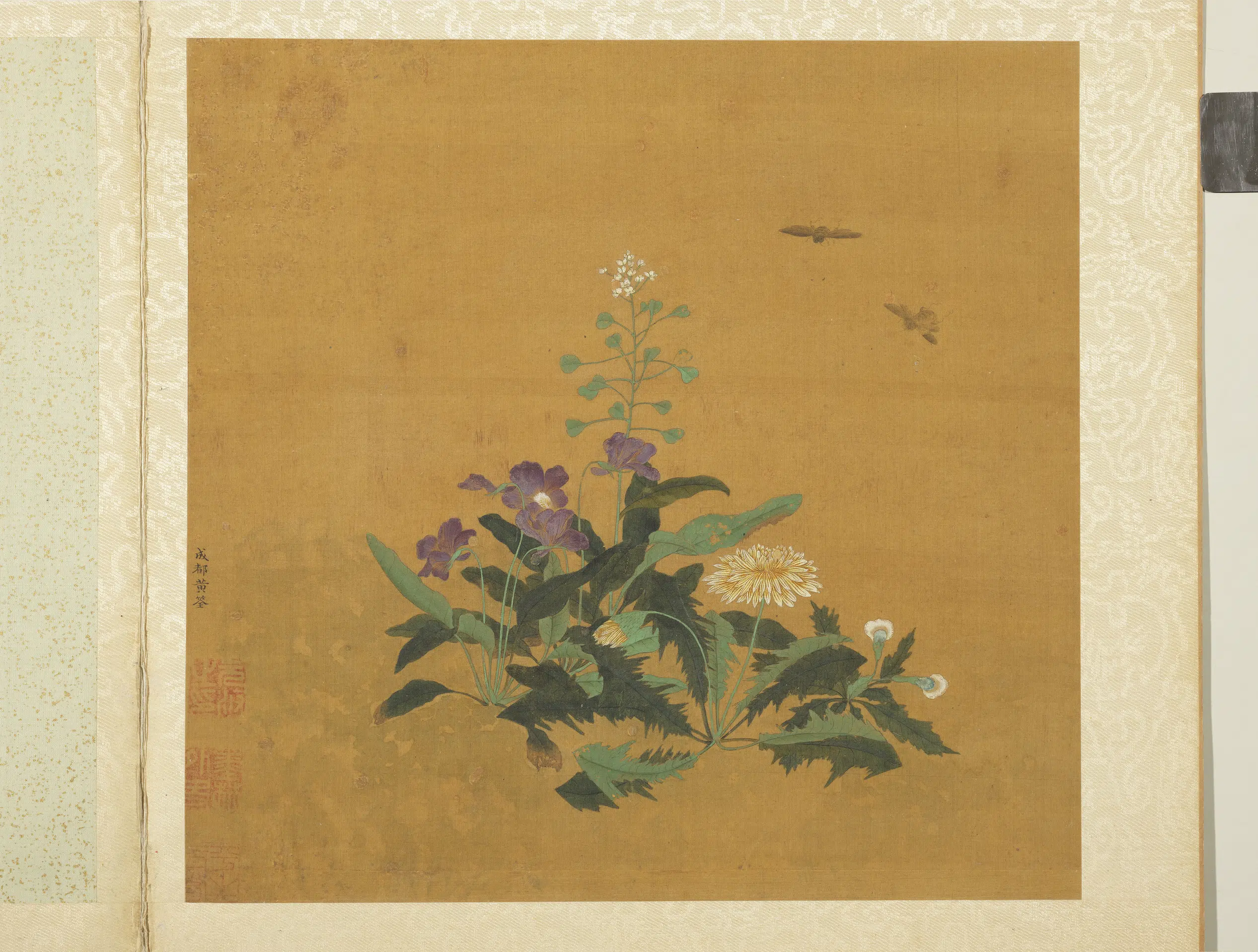 五代十国前后蜀【黄筌（荃）】《长春花鸟册-荠菜蒲公英》