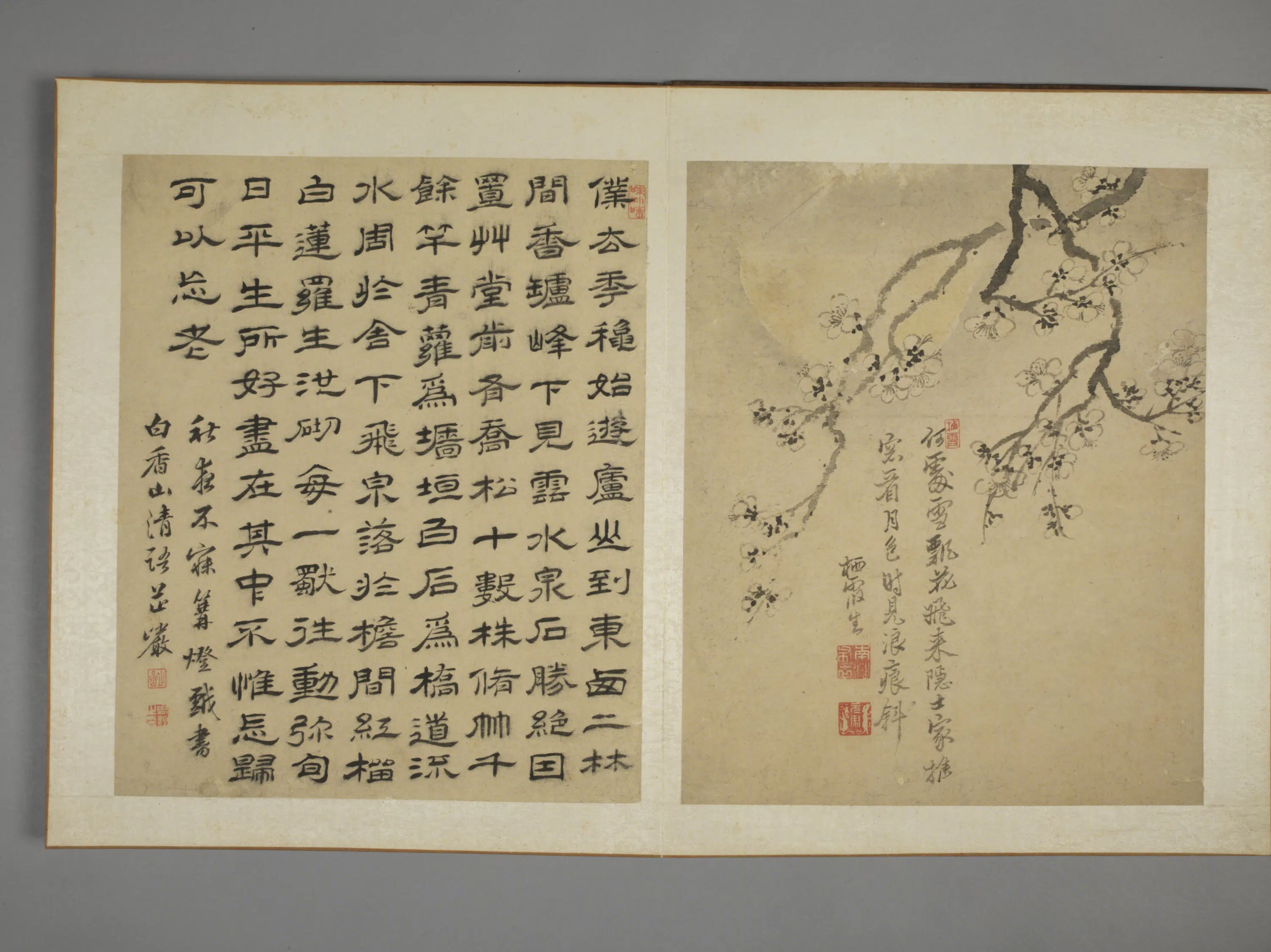 清代【马元驭】《花鸟图册》 第4张