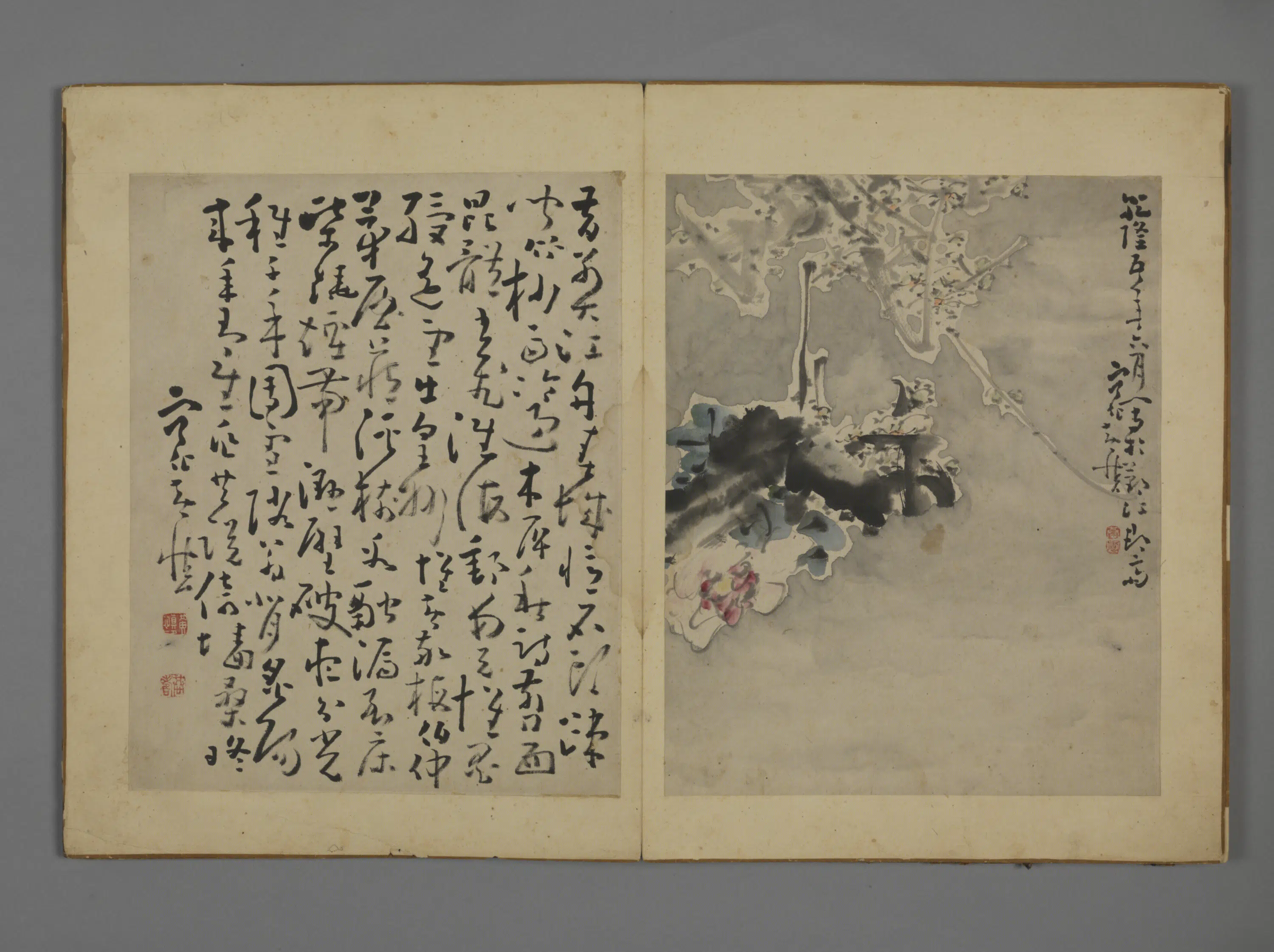 清代【黄慎】《花卉图册》 第8张