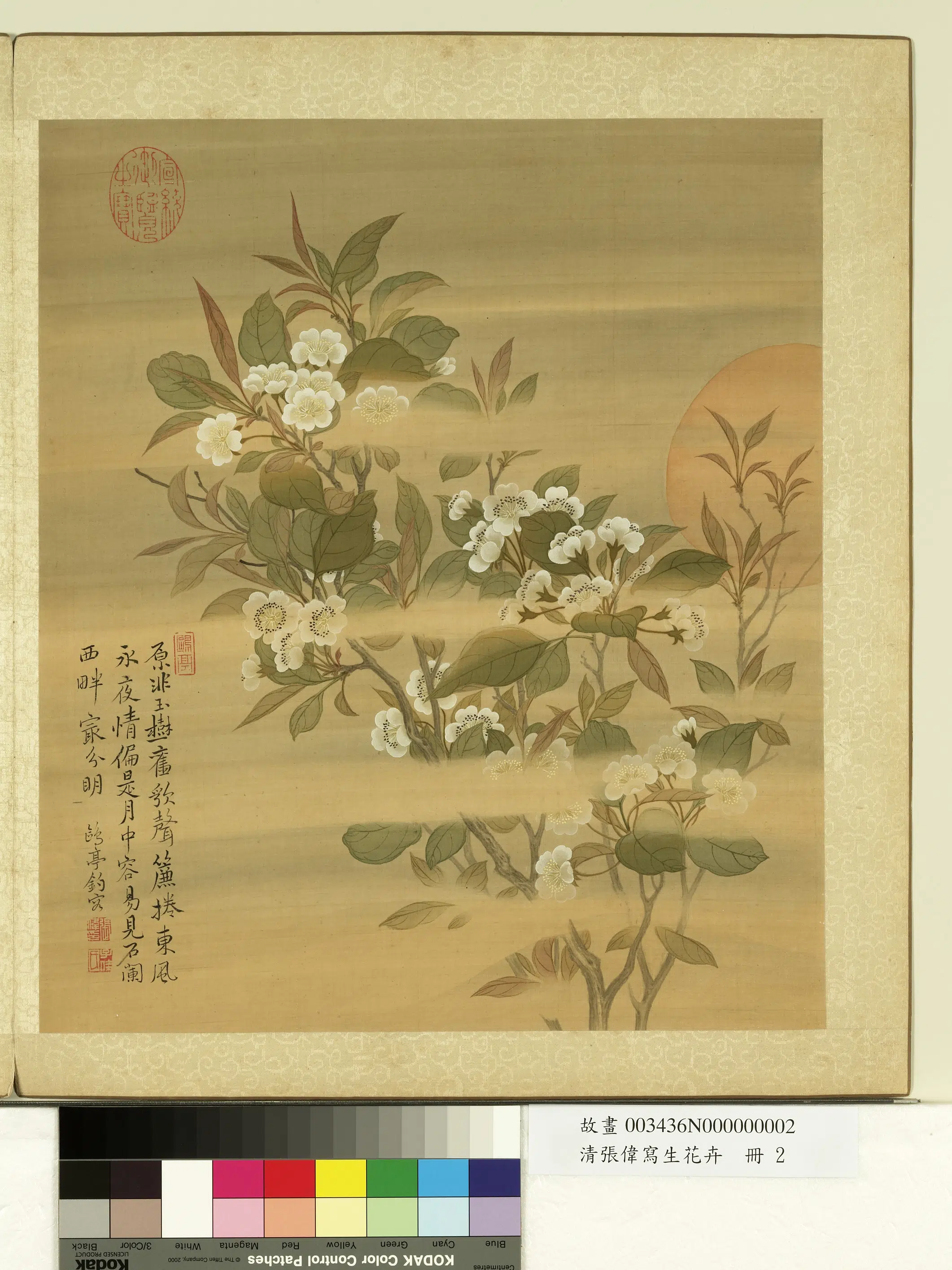 清代【张伟】《写生花卉册-梨花》