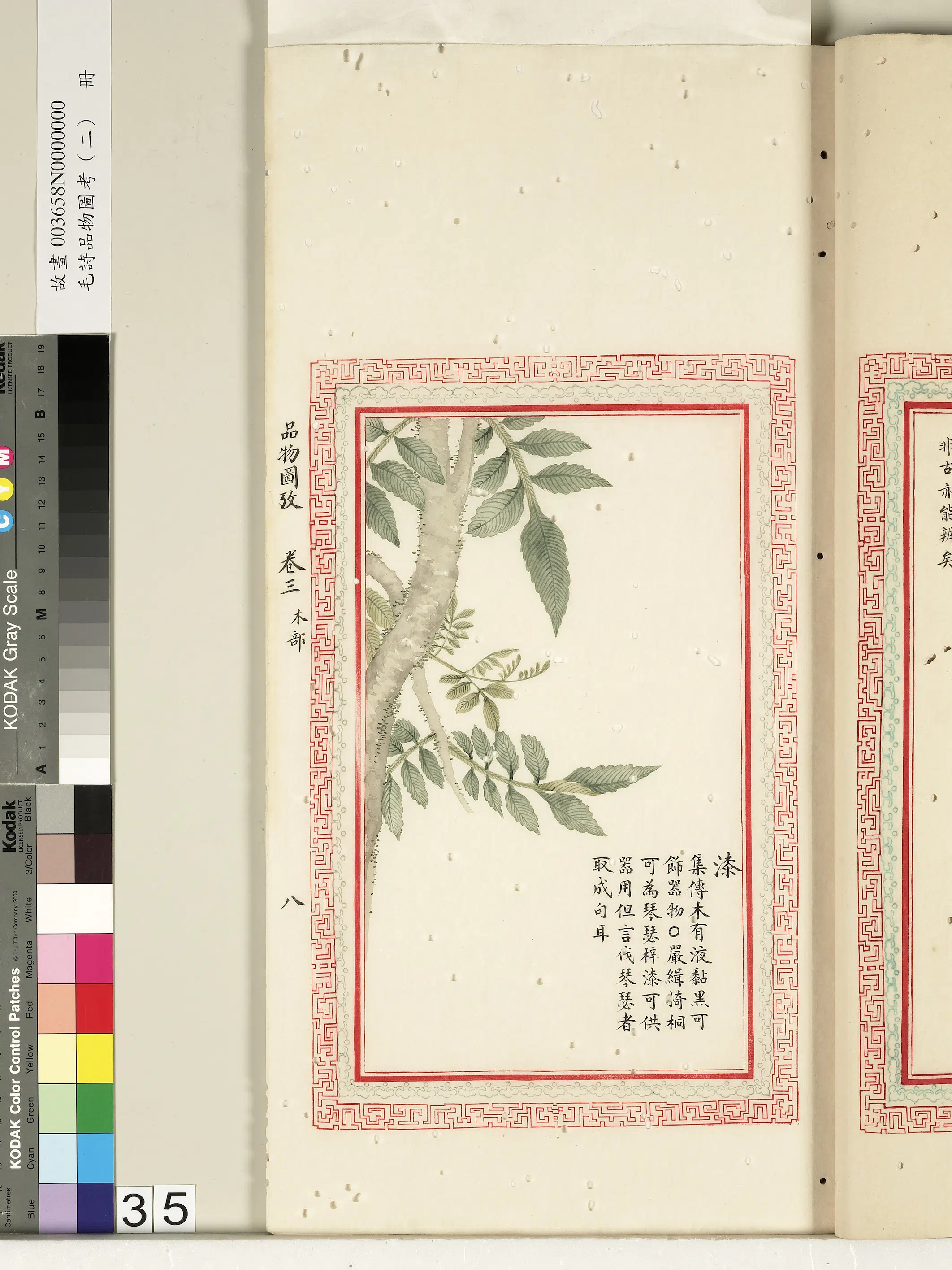 清代《毛诗品物图考（二）册-2》 第38张