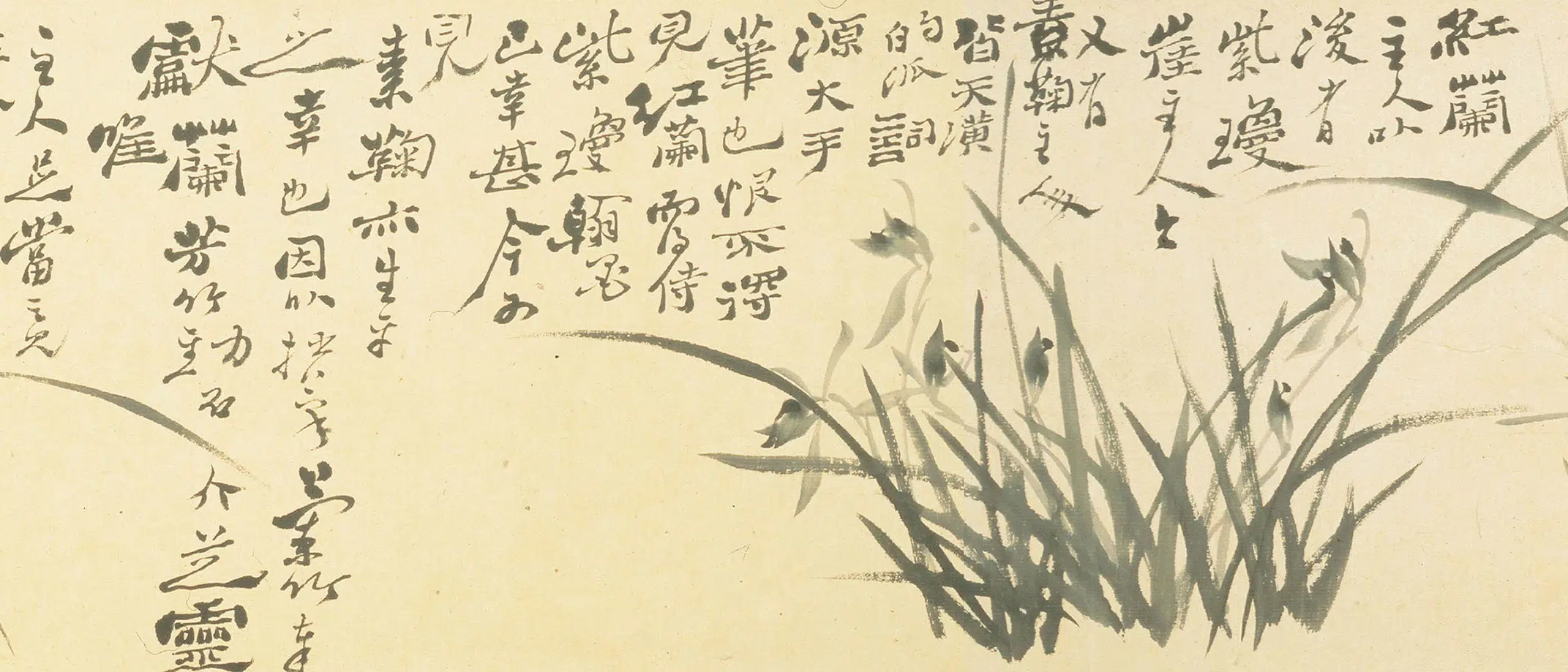 清代【郑板桥（郑燮）】《兰花竹石图卷》 第3张