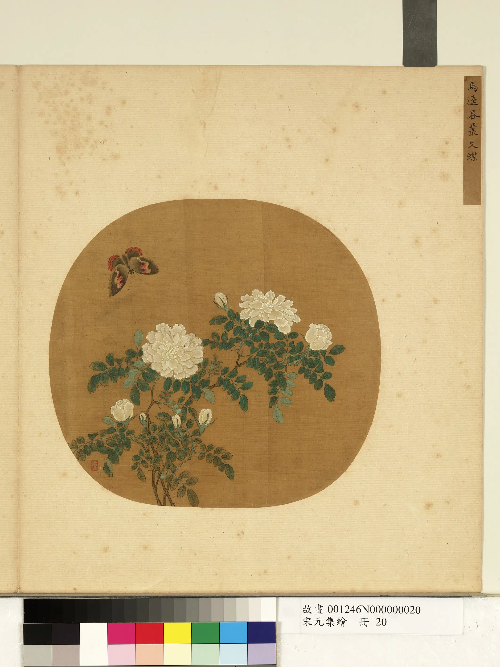 南宋【马逵】《宋元集绘册-春丛文蝶》