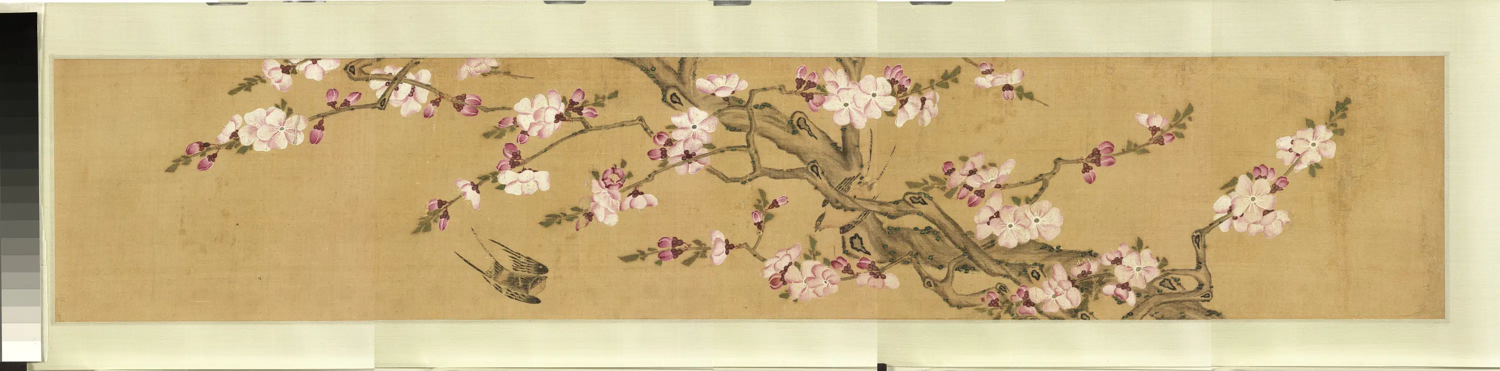 《无名氏画花卉（二）卷》