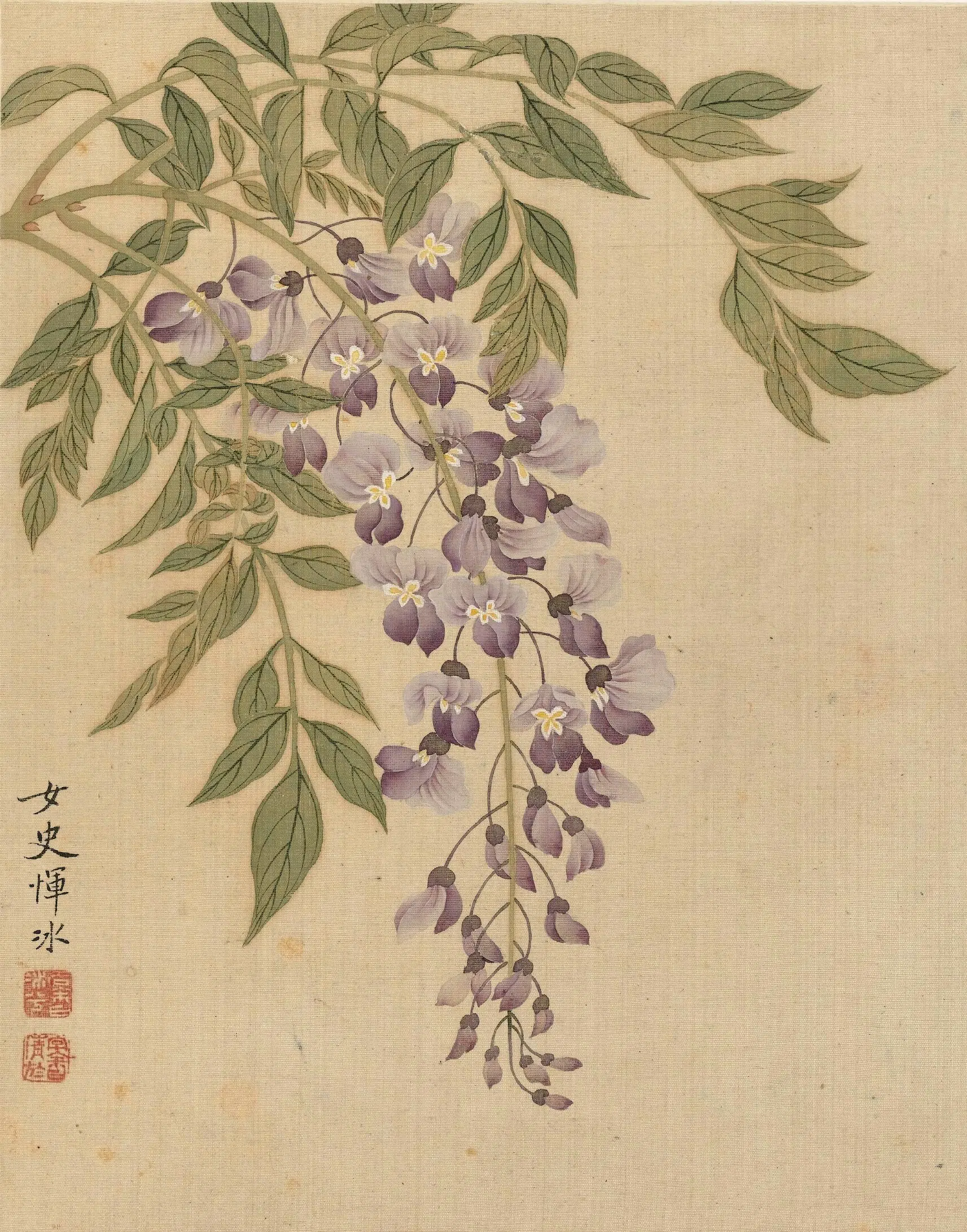 清代【恽冰】《花卉册（十开）》 第4张