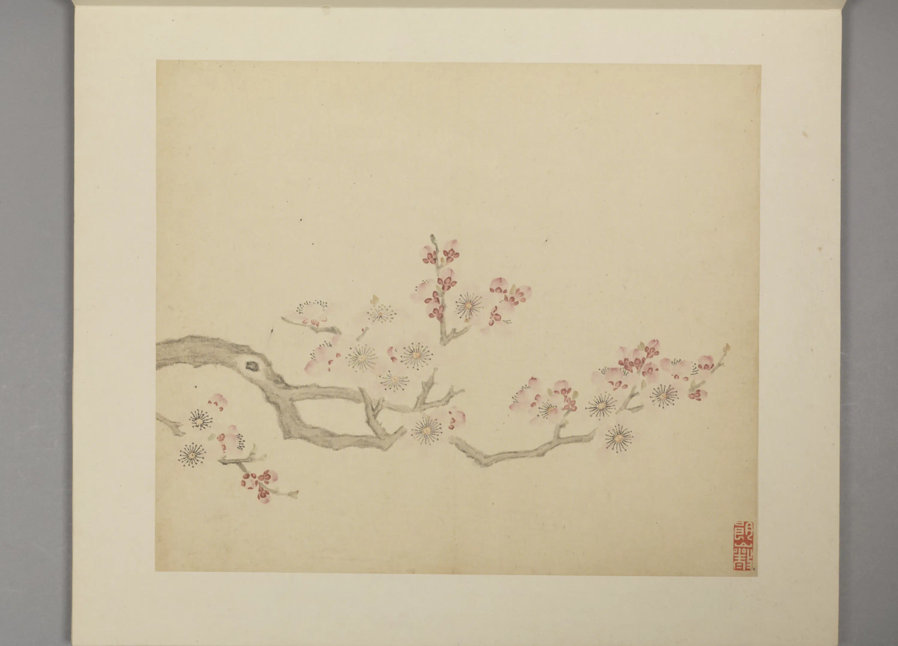 明朝【凌必正】《花鸟册》 第4张