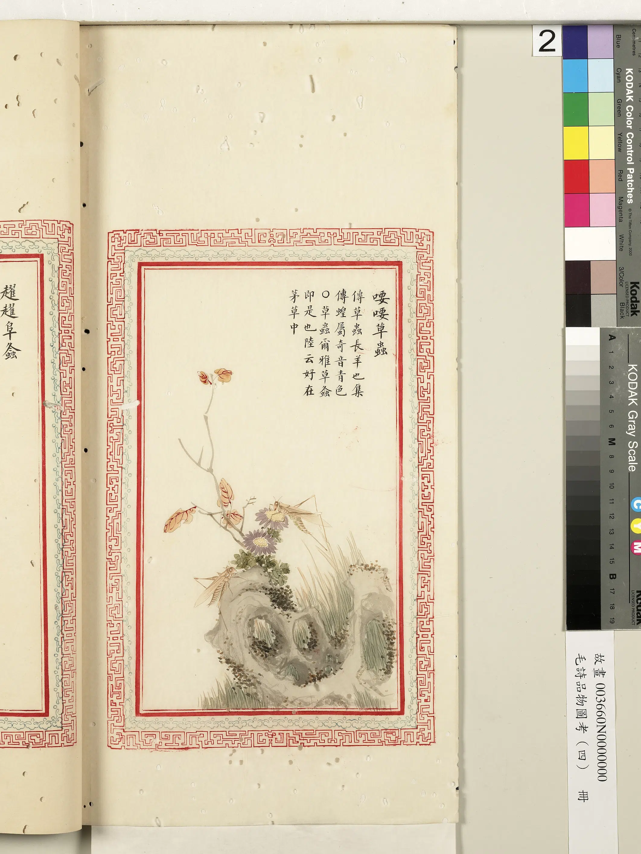 清朝【佚名】《毛诗品物图考（四）册-喓喓草虫-2》