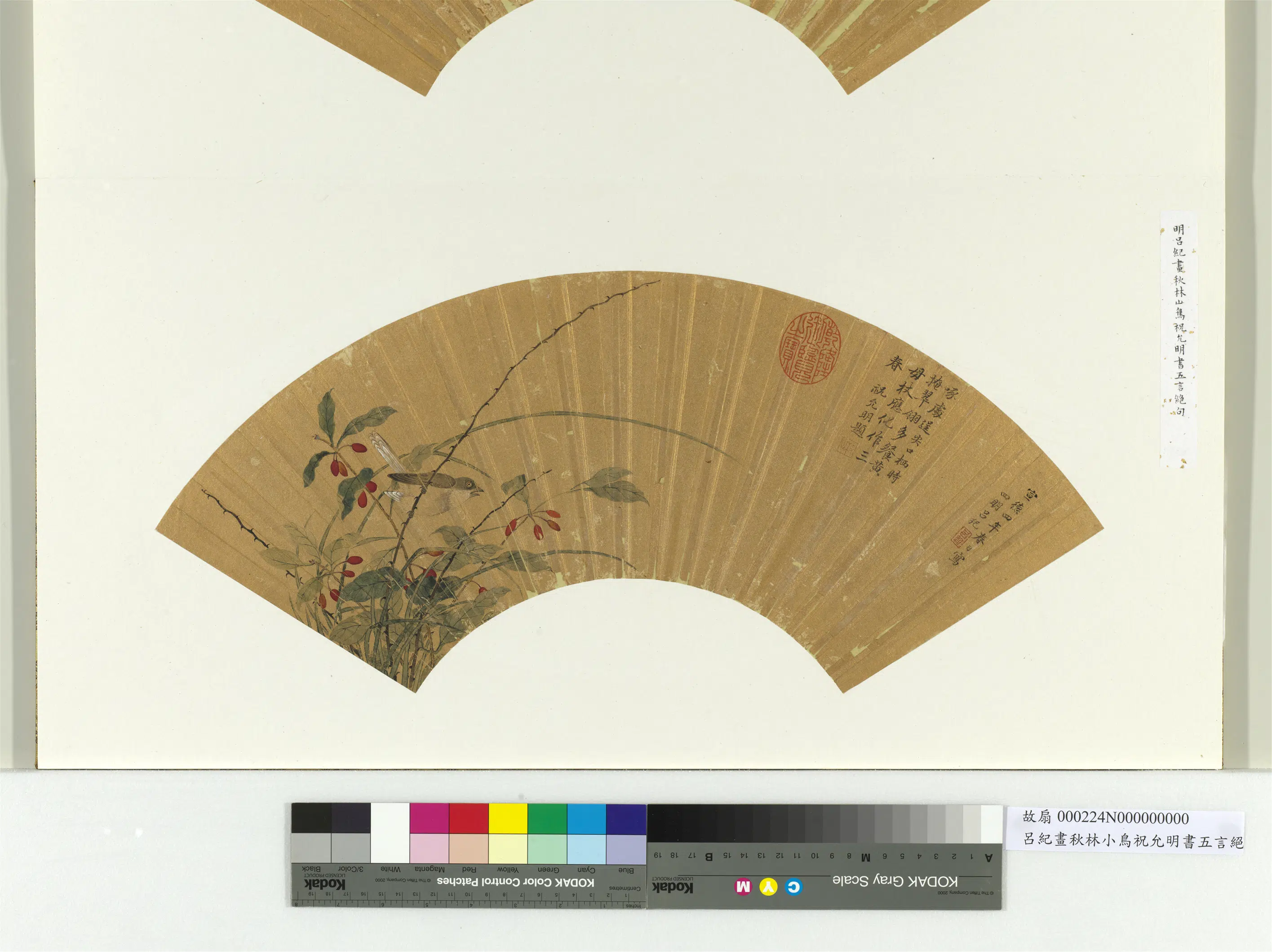 明朝【吕纪】《画秋林小鸟册页》