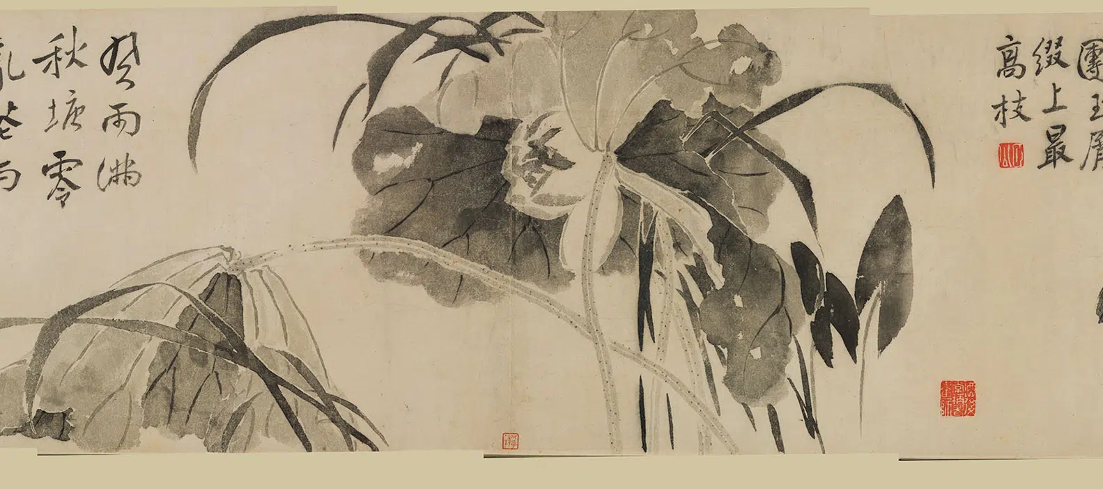 清代【边寿民】《花卉图卷》 第4张