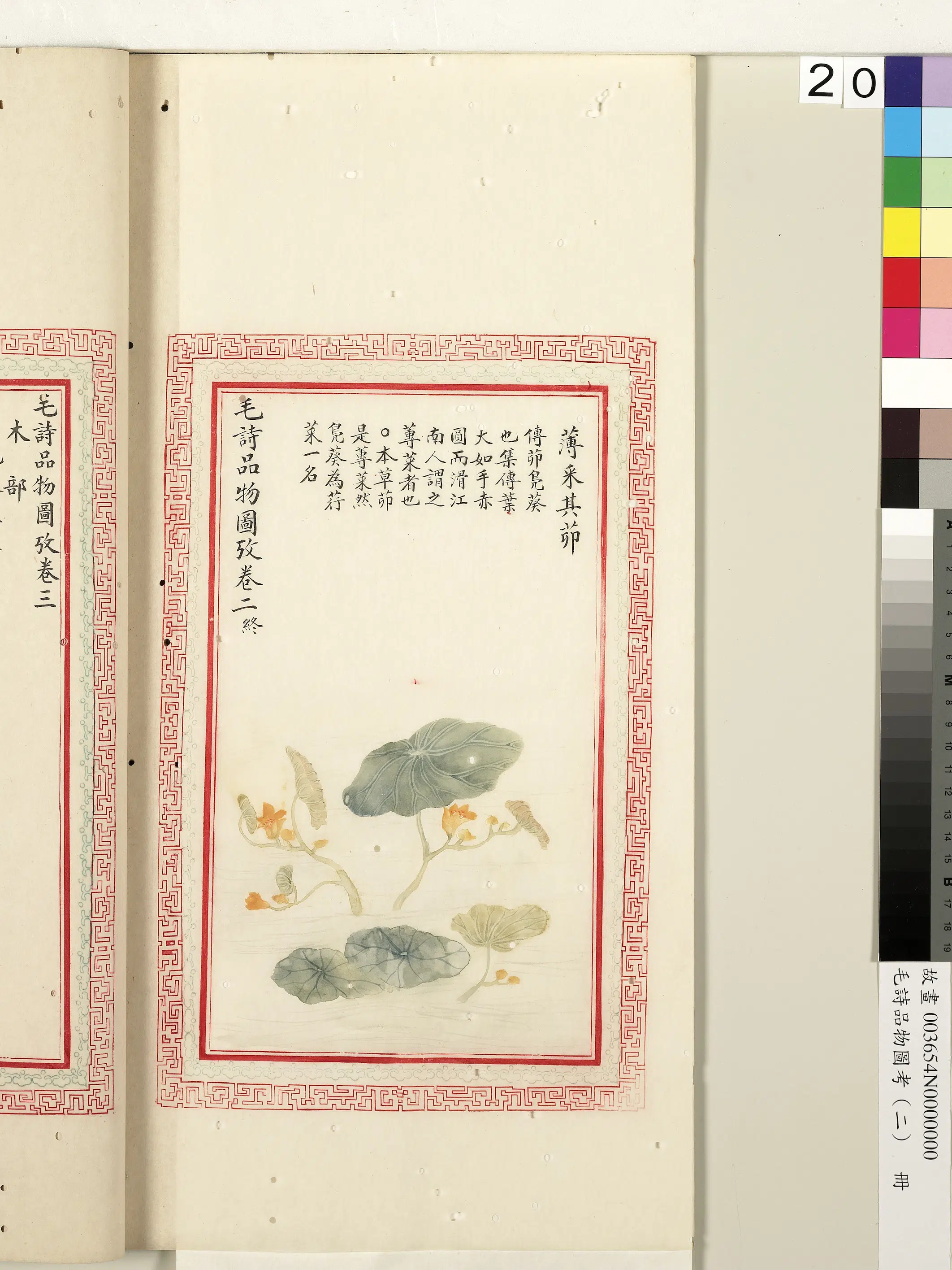 清代《毛诗品物图考(二)册-1》 第49张 清代《毛诗品物图考(二)册-1》 第49张