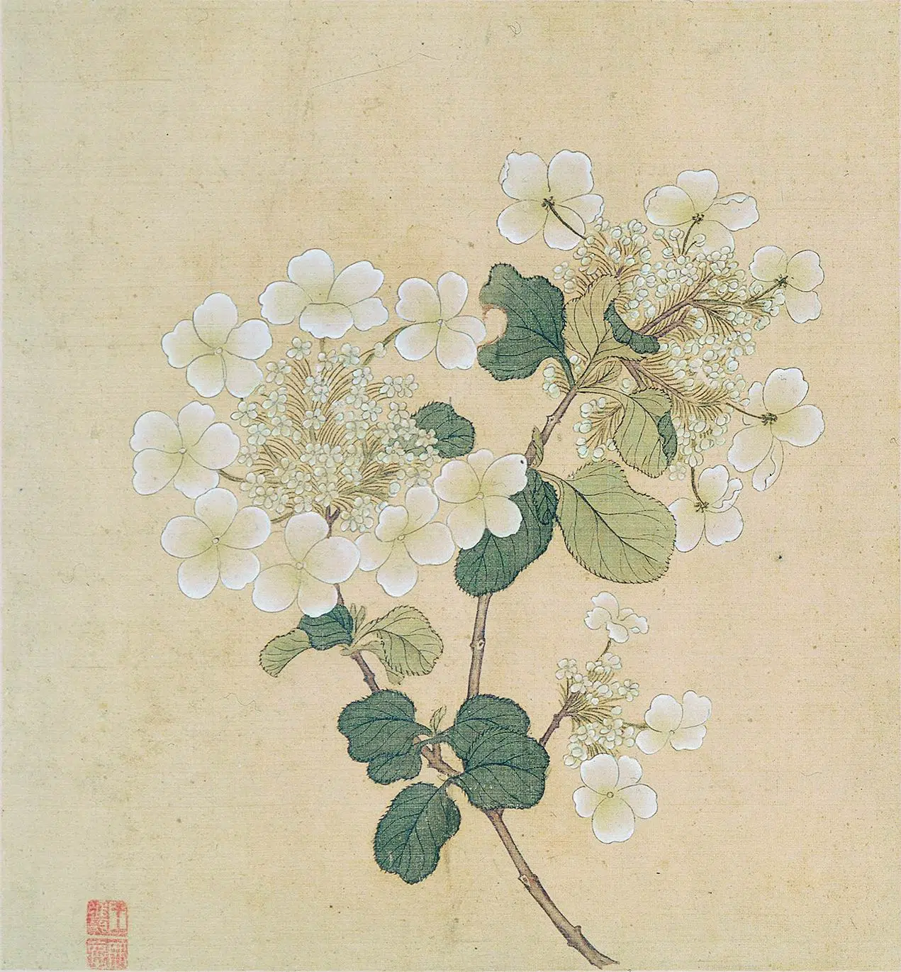 明朝【王维烈】《设色花卉册（十开）》 第9张