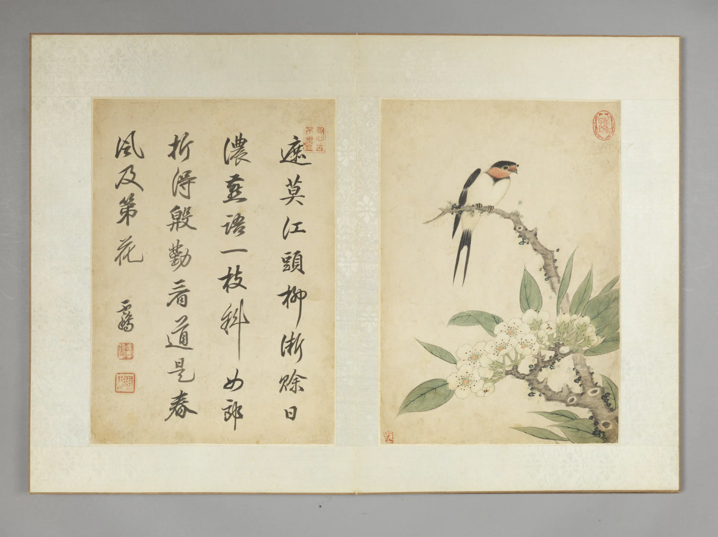 清代【裘穟】《花鸟册》