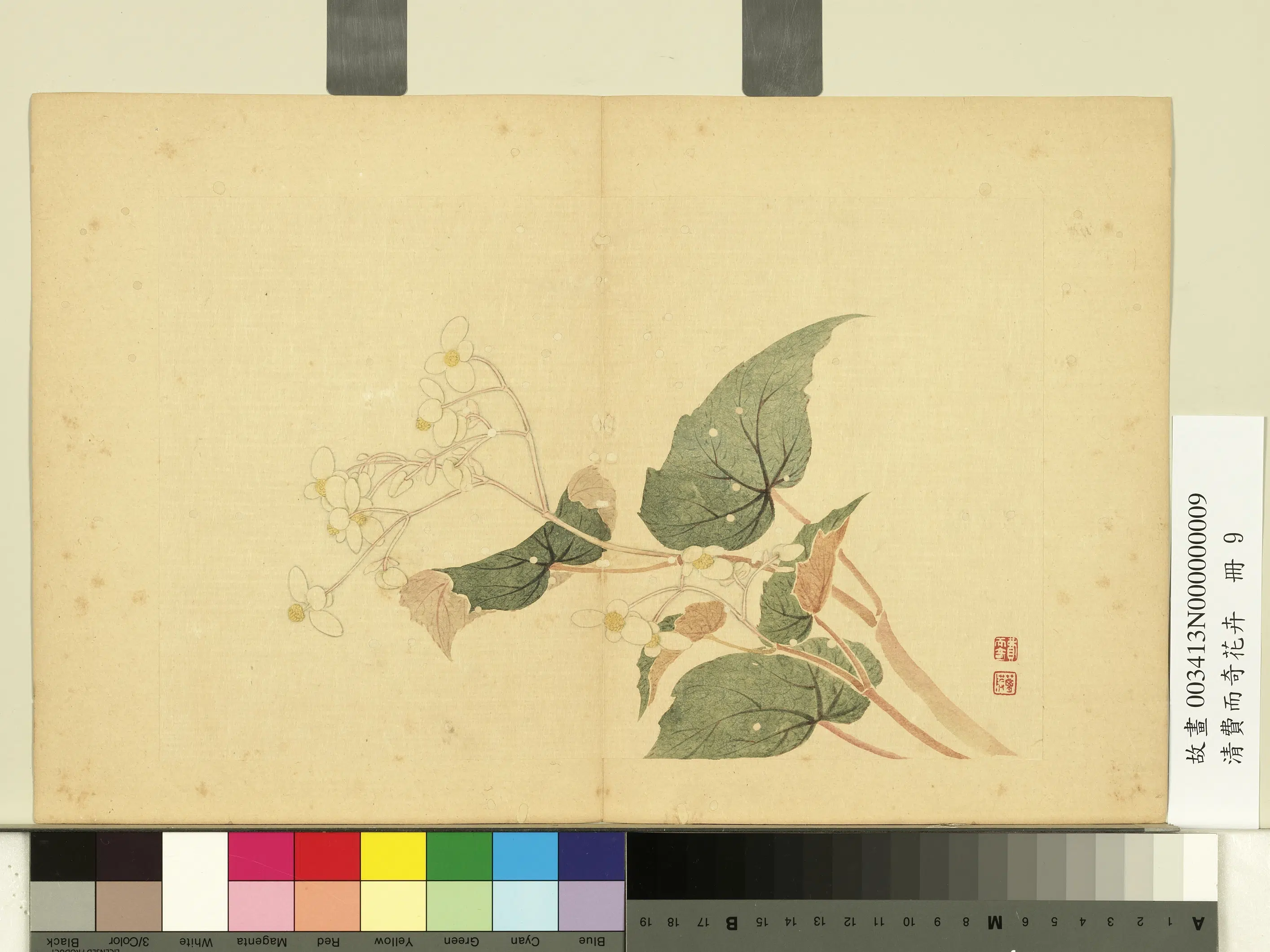 清代【费而奇】《花卉册-海棠》