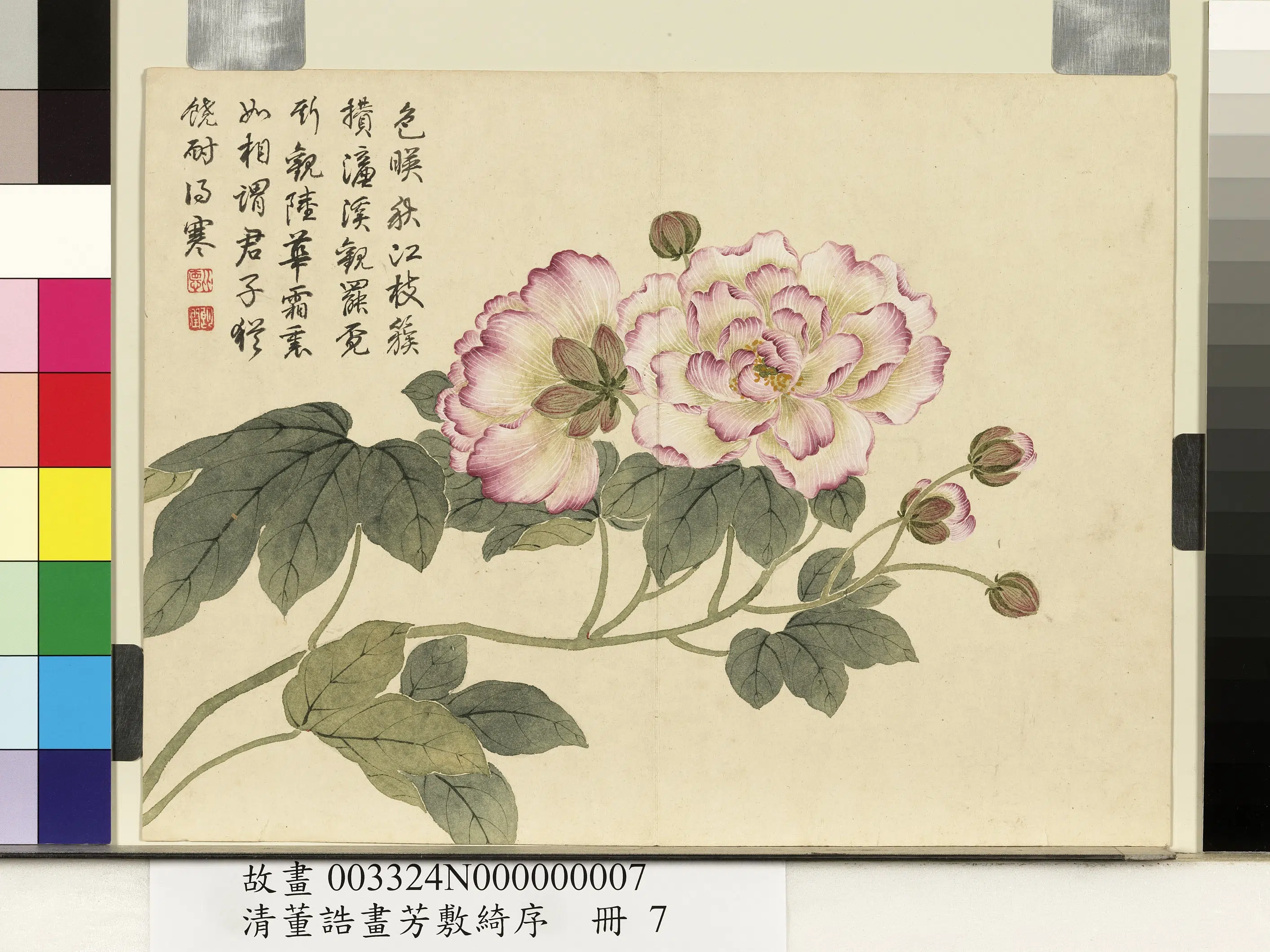清代【董诰】《画芳敷绮序册-芙蓉》