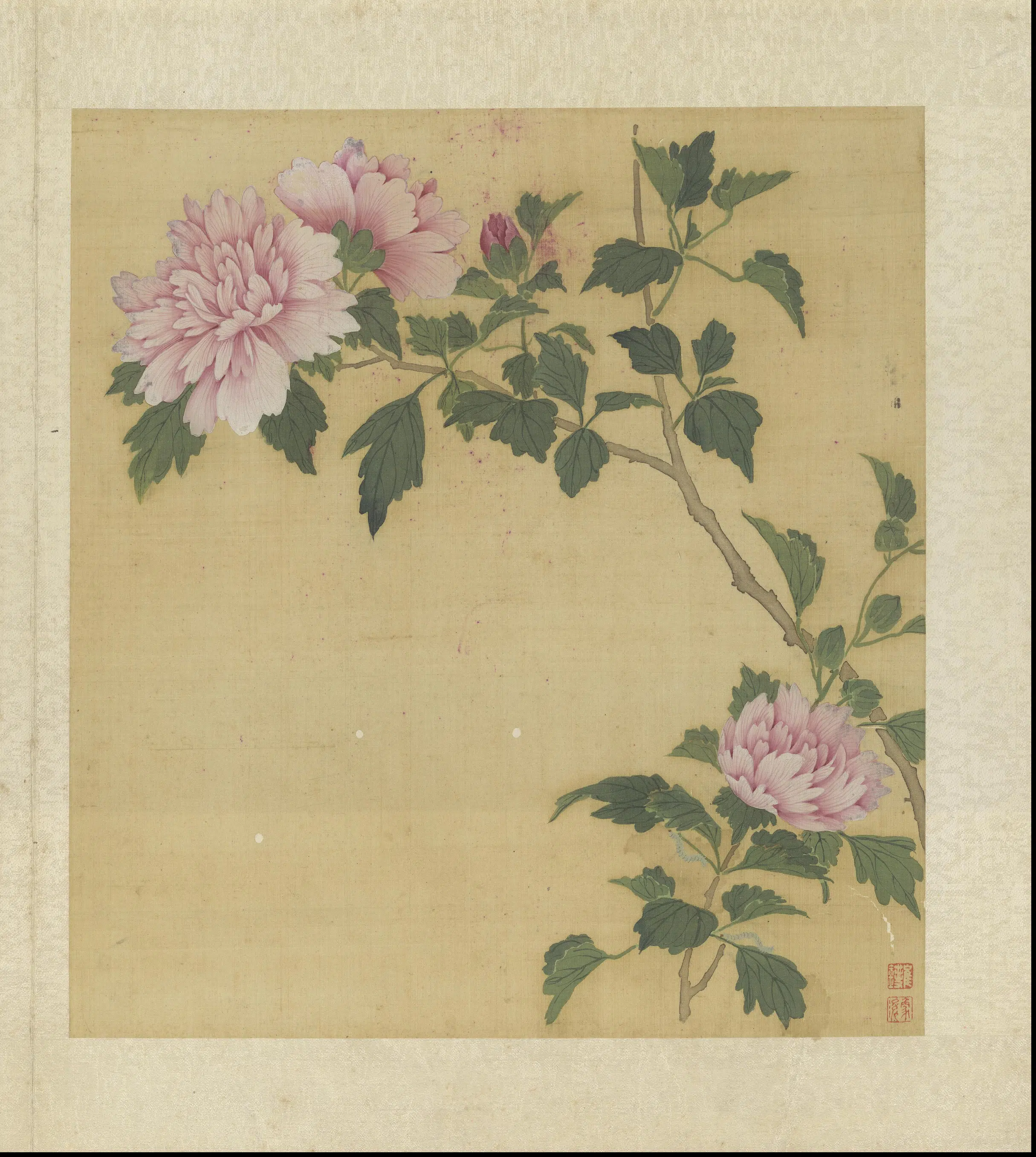 清代【崔鏏】《花卉草虫图册》 第2张
