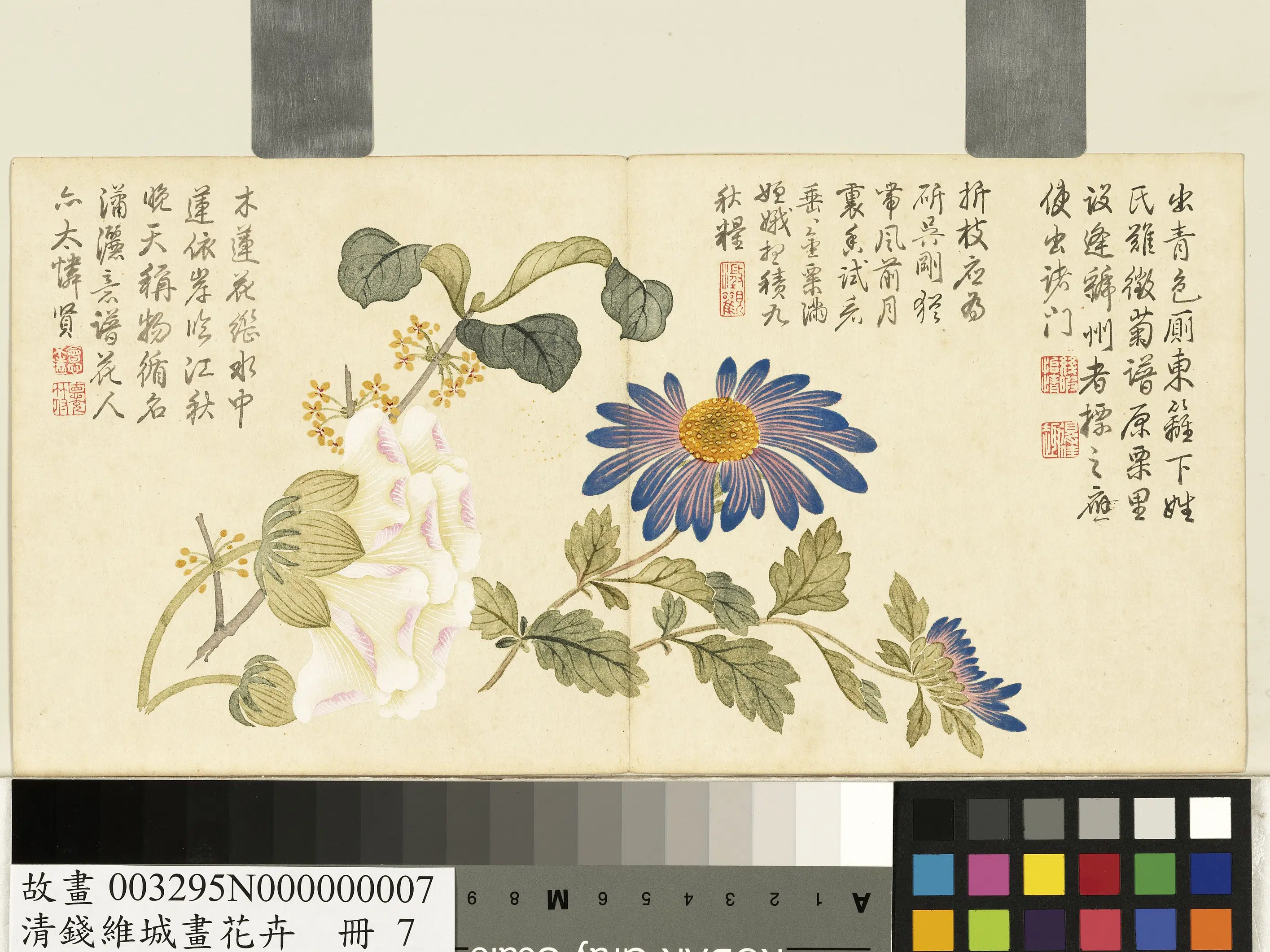 清代【钱维城】《画花卉册-1》 第7张 清代【钱维城】《画花卉册-1》 第7张