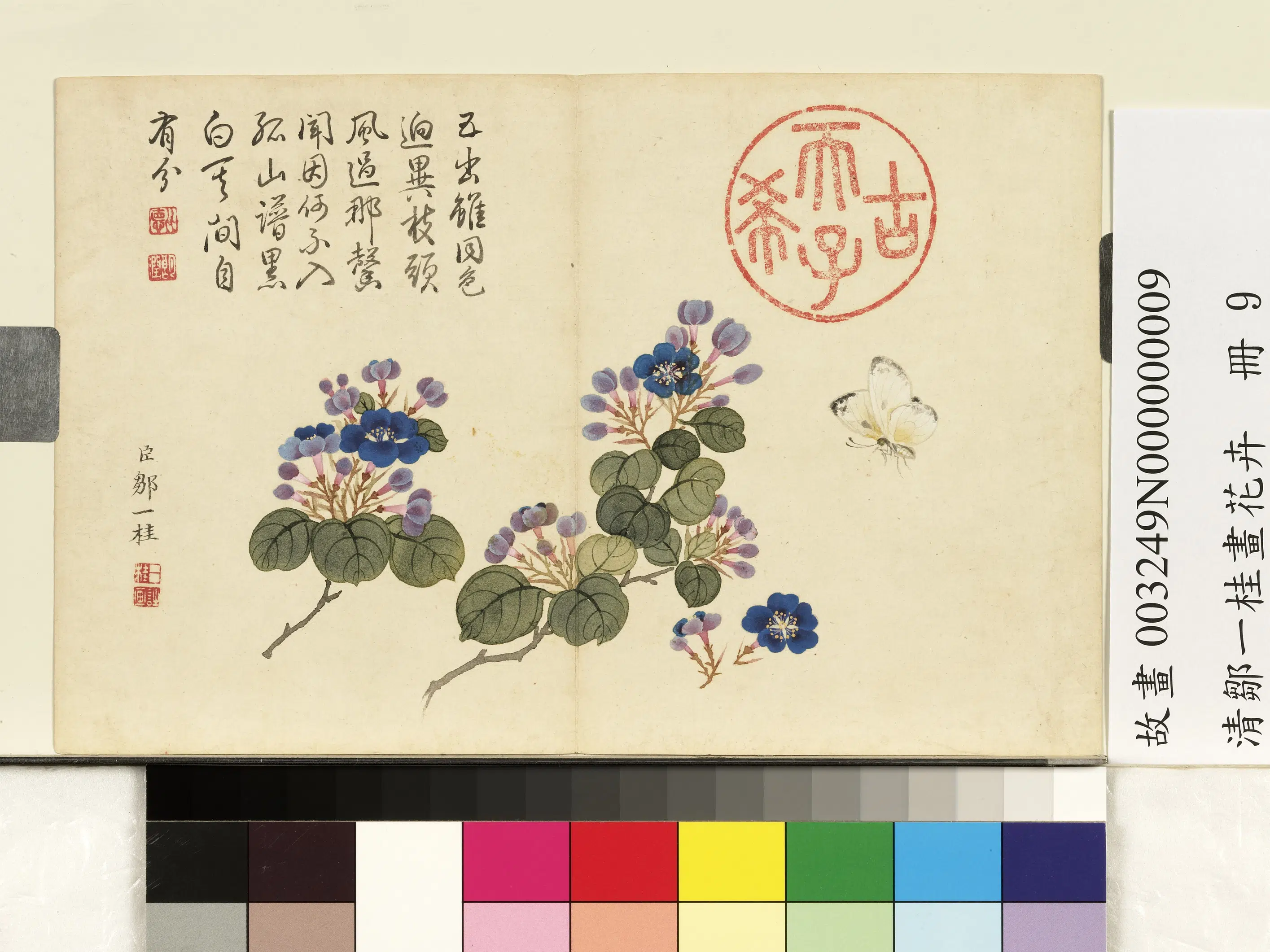 清代【邹一桂】《画花卉册》 第9张 清代【邹一桂】《画花卉册》 第9张
