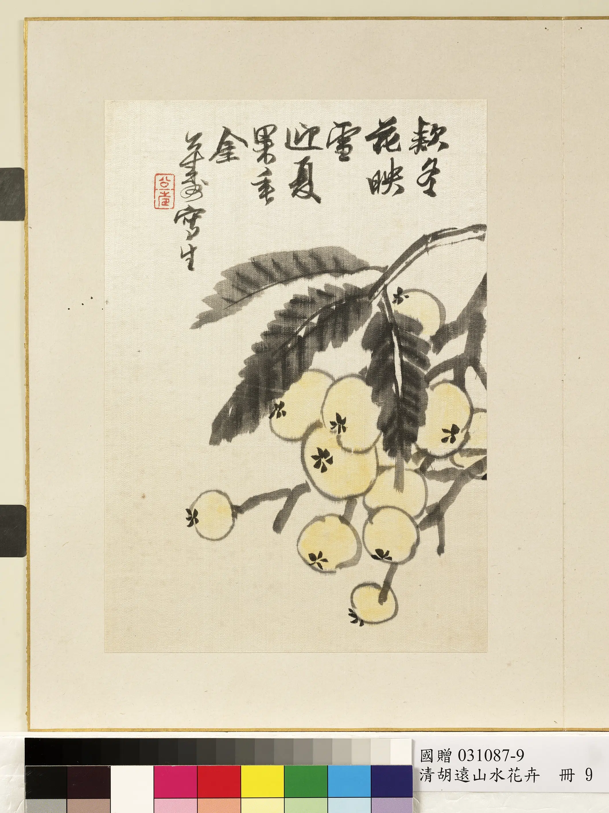 清代【胡远】《山水花卉册-枇杷》