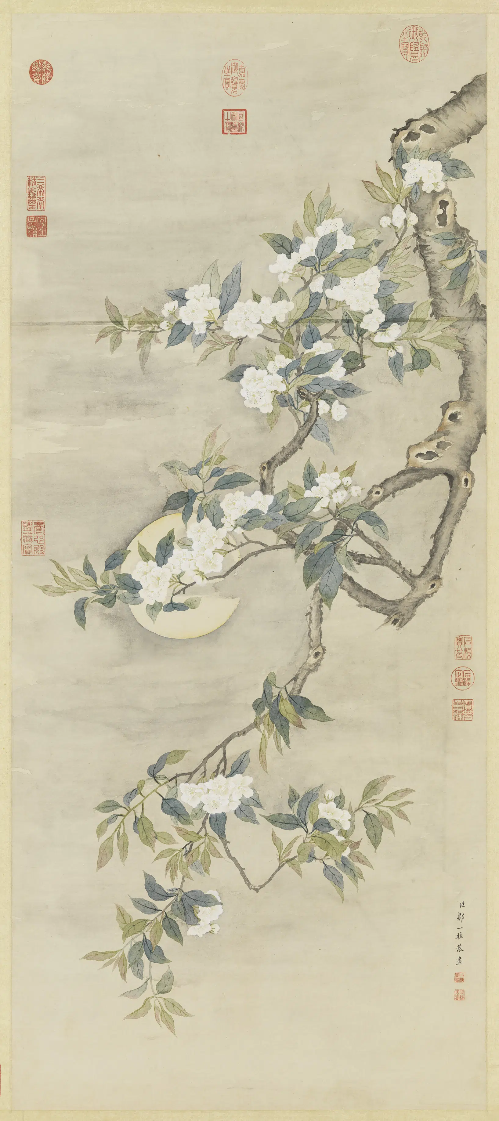 清代【邹一桂】《画梨花夜月图轴》