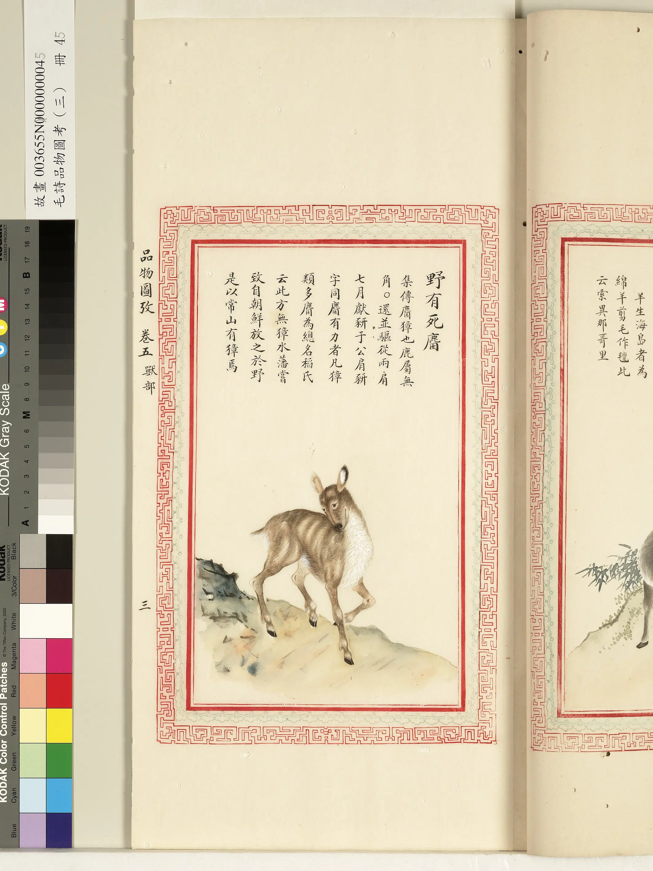 清朝【佚名】《毛诗品物图考（三）册-野有死麕-1》