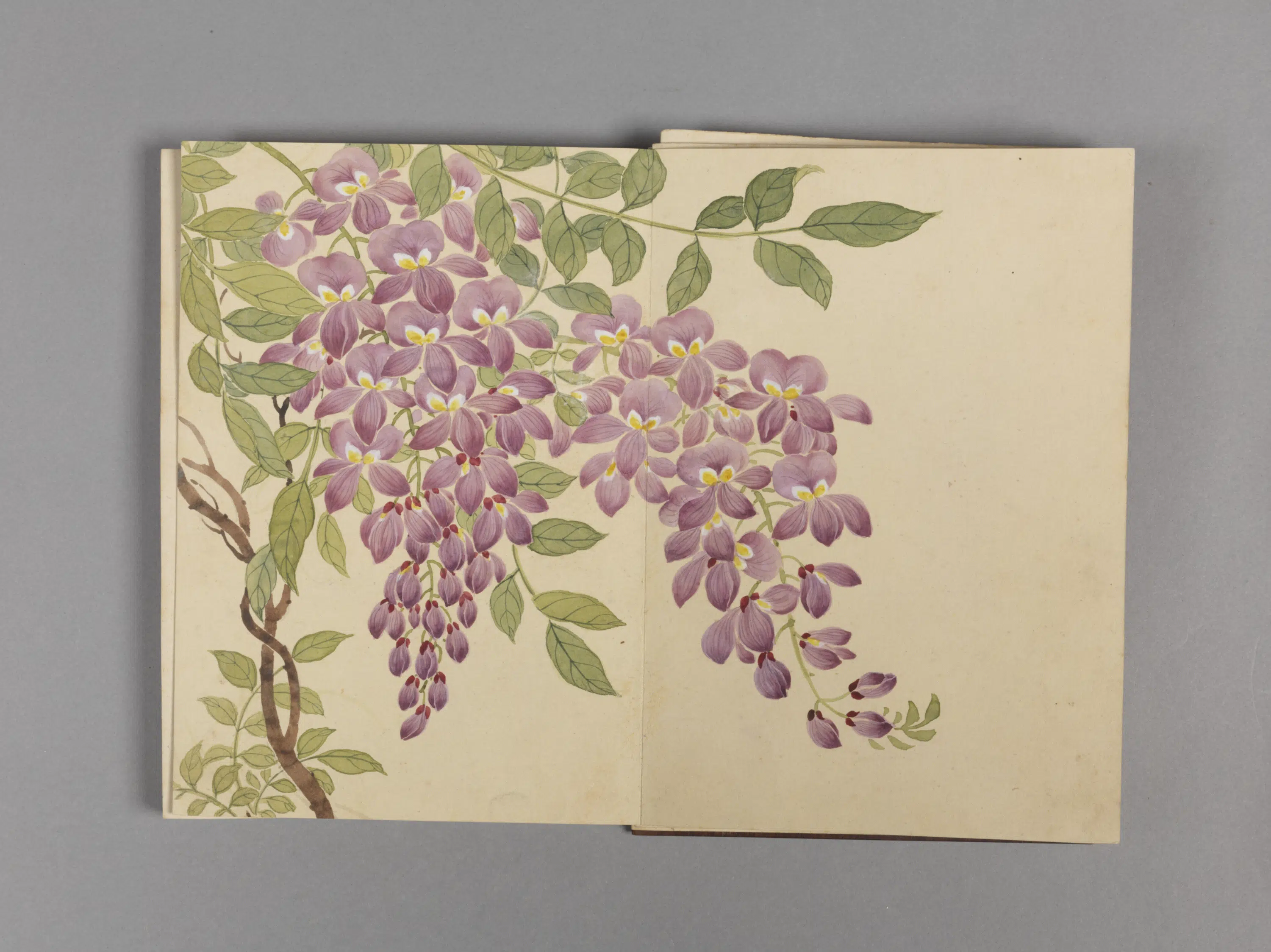清代【董诰】《花卉小册（16开）》 第4张