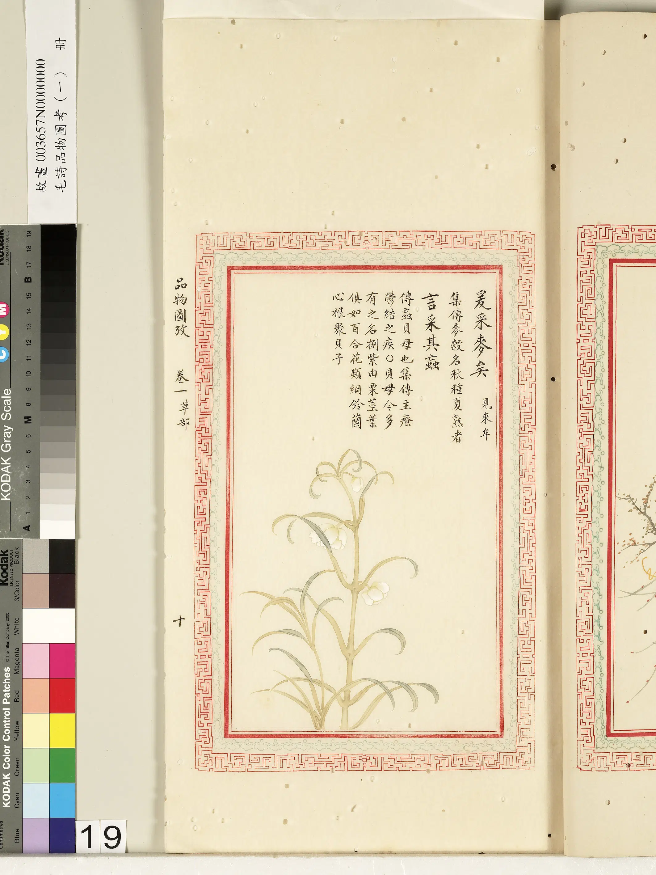 清朝【佚名】《毛诗品物图考（一）册-爰采麦矣言采其蝱》